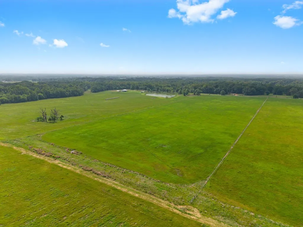 Unimproved Land For Sale in Van Zandt County , 269 VZ County Road 4305, Ben Wheeler, Texas 75754, 0, 0, Garage spaces, 0 Sqft, built in 0, mls#21269332, Real Estate Agent in Ben Wheeler, Homes For Sale in Van Zandt county, Homes For Sale in Ben Wheeler, Realtor in Ben Wheeler Texas, Real Estate Brokerage Independent Realty Texas, Luminita Cordes Realtor