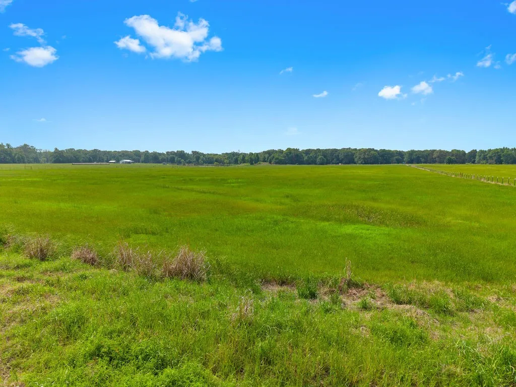 Unimproved Land For Sale in Van Zandt County , 269 VZ County Road 4305, Ben Wheeler, Texas 75754, 0, 0, Garage spaces, 0 Sqft, built in 0, mls#21269332, Real Estate Agent in Ben Wheeler, Homes For Sale in Van Zandt county, Homes For Sale in Ben Wheeler, Realtor in Ben Wheeler Texas, Real Estate Brokerage Independent Realty Texas, Luminita Cordes Realtor