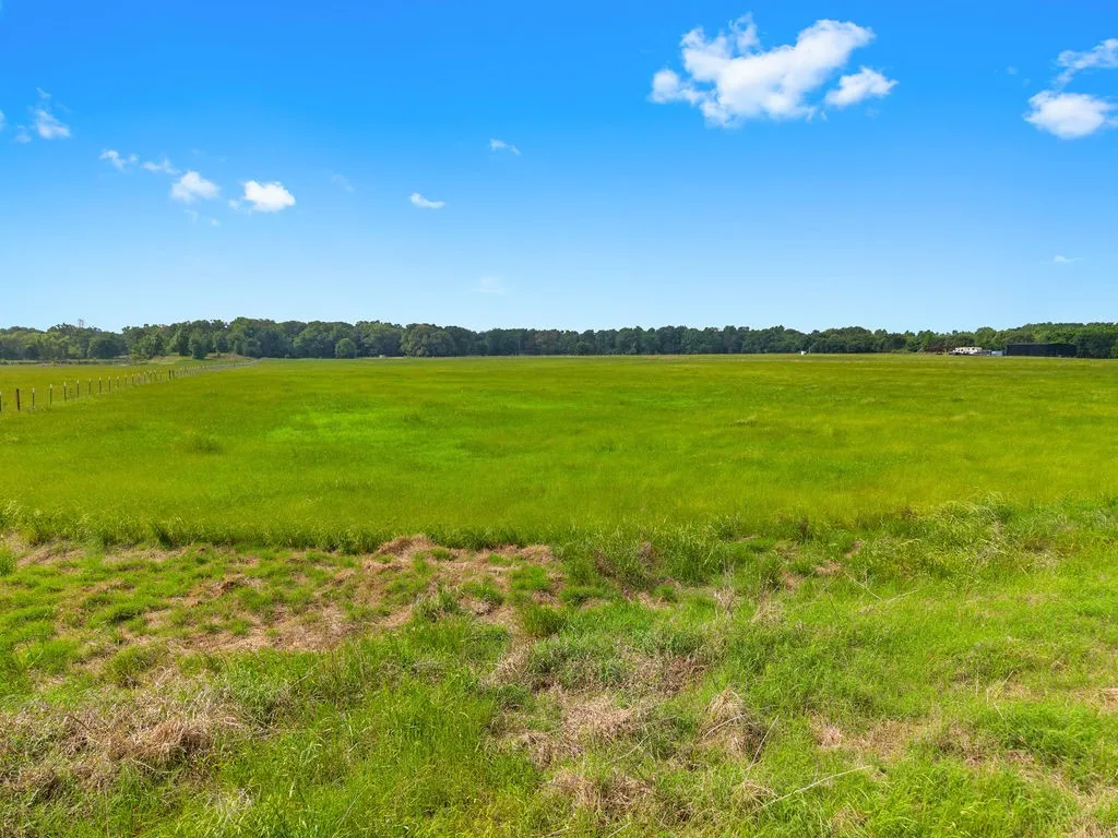 Unimproved Land For Sale in Van Zandt County , 269 VZ County Road 4305, Ben Wheeler, Texas 75754, 0, 0, Garage spaces, 0 Sqft, built in 0, mls#21269332, Real Estate Agent in Ben Wheeler, Homes For Sale in Van Zandt county, Homes For Sale in Ben Wheeler, Realtor in Ben Wheeler Texas, Real Estate Brokerage Independent Realty Texas, Luminita Cordes Realtor