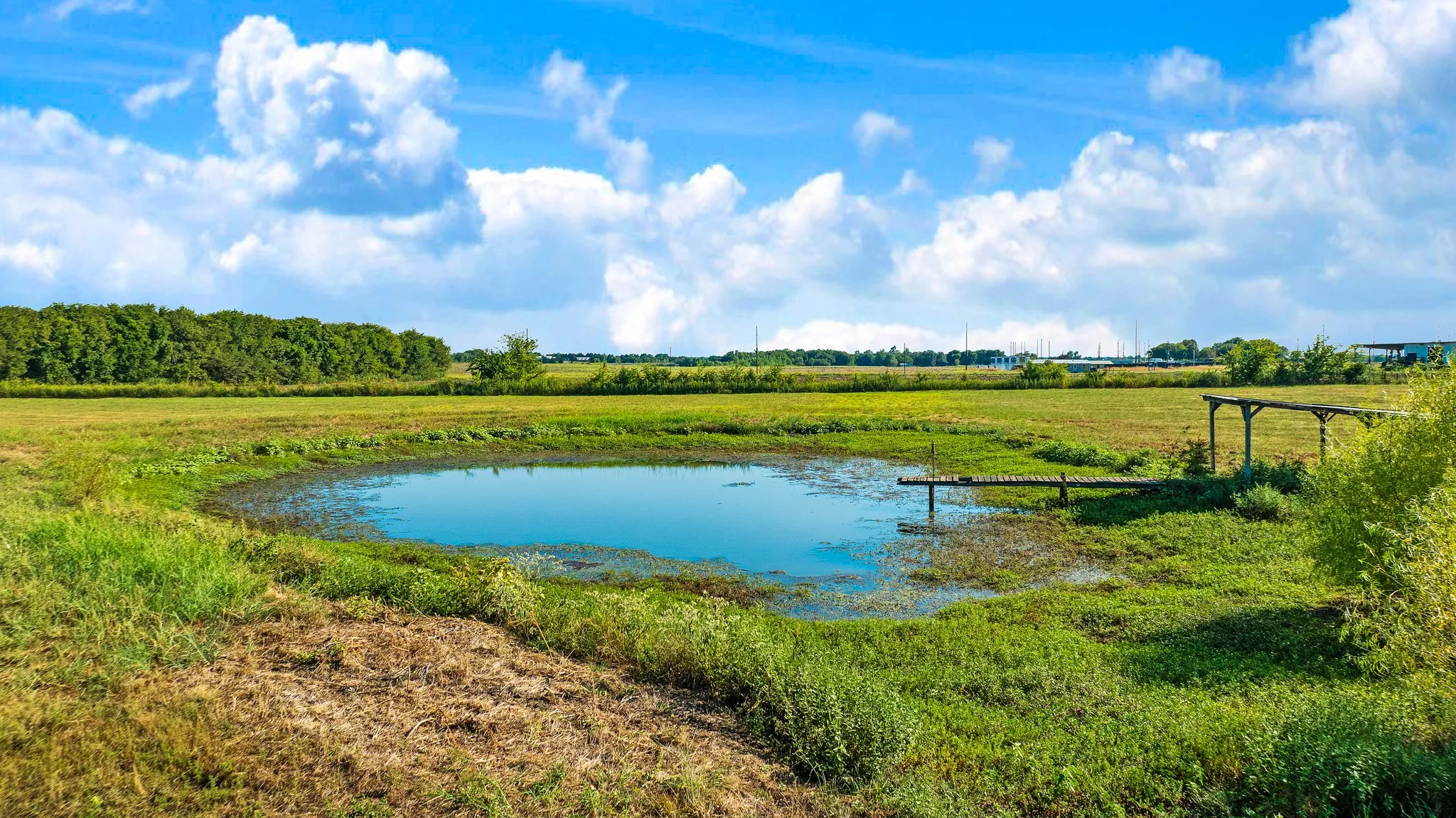 Unimproved Land For Sale in Lamar County , 108 Private Rd 14025, Blossom, Texas 75416, 0, 0, Garage spaces, 0 Sqft, built in 0, mls#21269403, Real Estate Agent in Blossom, Homes For Sale in Lamar county, Homes For Sale in Blossom, Realtor in Blossom Texas, Real Estate Brokerage Independent Realty Texas, Luminita Cordes Realtor