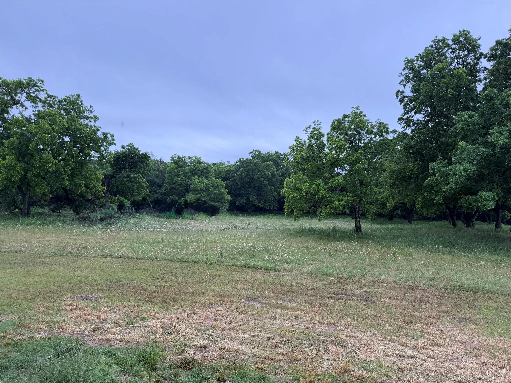 View of back of property, looking south, with gorgeous, mature trees throughout.