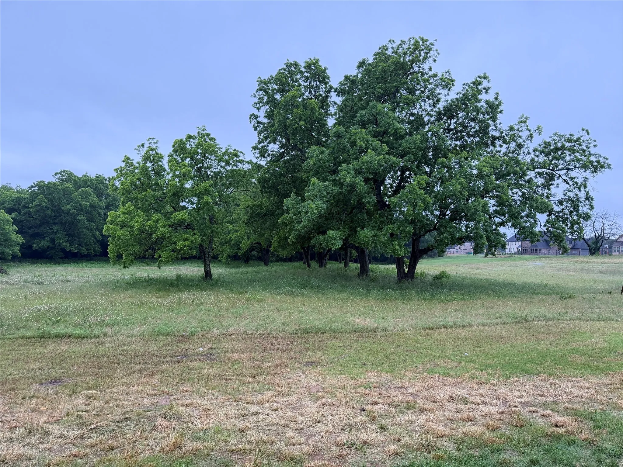 View of back of property, looking southwest.