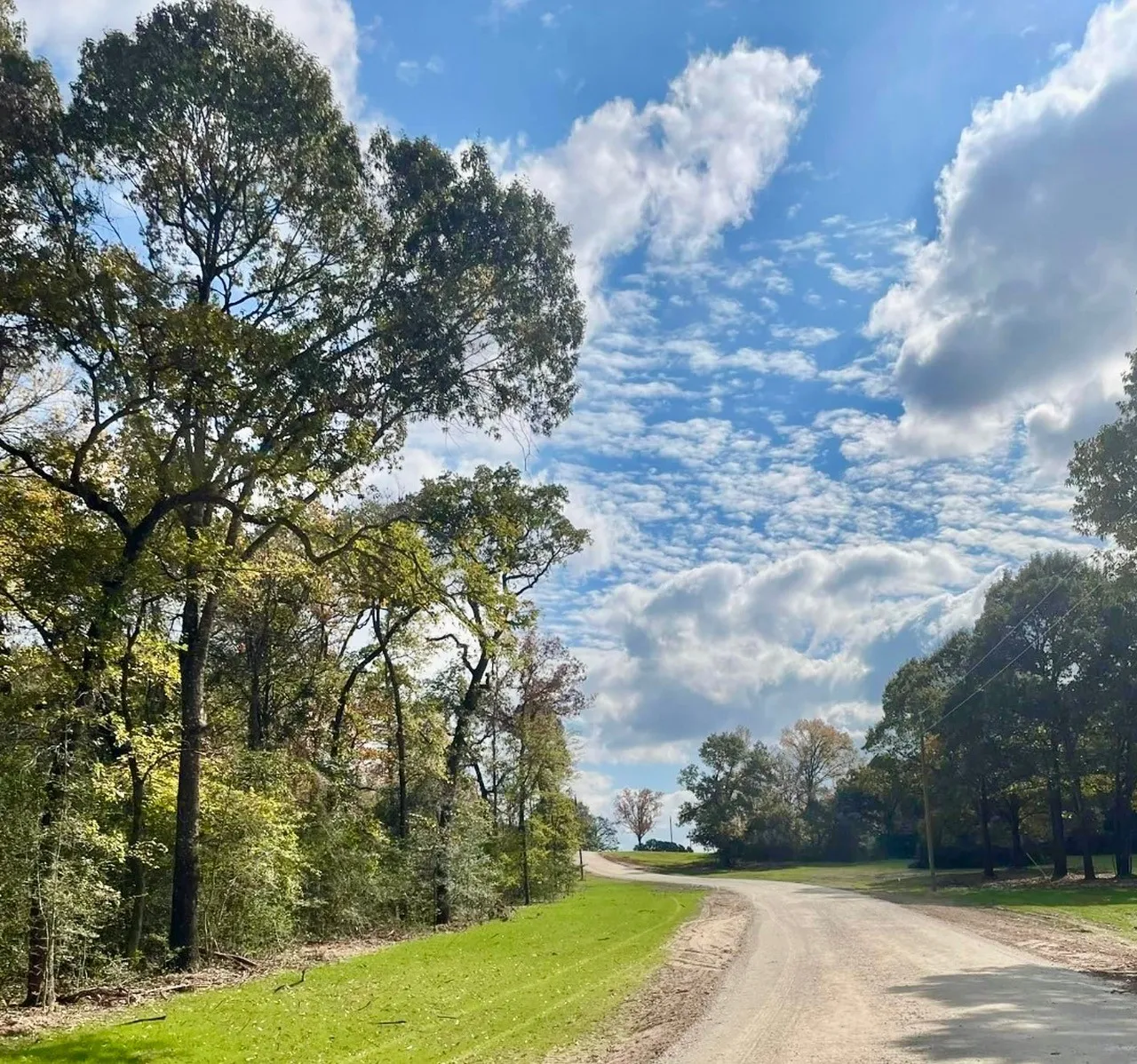 Ranch For Sale in Leon County , TBD 006 County Road 242, Oakwood, Texas 75855, 0, 0, Garage spaces, 0 Sqft, built in 0, Price $139,999, mls#21269455, Real Estate Agent in Oakwood, Homes For Sale in Leon county, Homes For Sale in Oakwood, Realtor in Oakwood Texas, Real Estate Brokerage Independent Realty Texas, Luminita Cordes Realtor