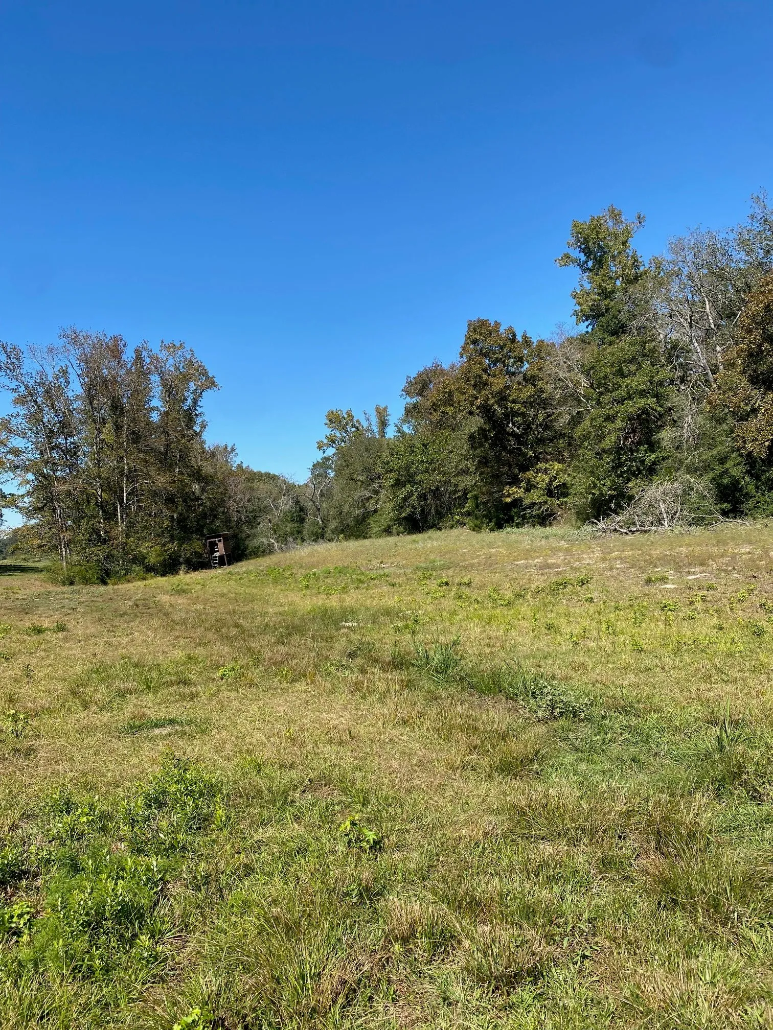 Ranch For Sale in Leon County , TBD 006 County Road 242, Oakwood, Texas 75855, 0, 0, Garage spaces, 0 Sqft, built in 0, Price $139,999, mls#21269455, Real Estate Agent in Oakwood, Homes For Sale in Leon county, Homes For Sale in Oakwood, Realtor in Oakwood Texas, Real Estate Brokerage Independent Realty Texas, Luminita Cordes Realtor