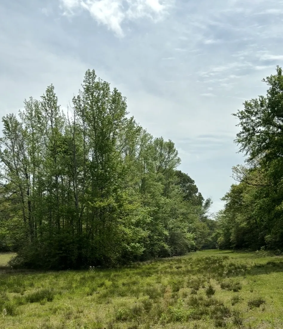 Ranch For Sale in Leon County , TBD 006 County Road 242, Oakwood, Texas 75855, 0, 0, Garage spaces, 0 Sqft, built in 0, Price $139,999, mls#21269455, Real Estate Agent in Oakwood, Homes For Sale in Leon county, Homes For Sale in Oakwood, Realtor in Oakwood Texas, Real Estate Brokerage Independent Realty Texas, Luminita Cordes Realtor