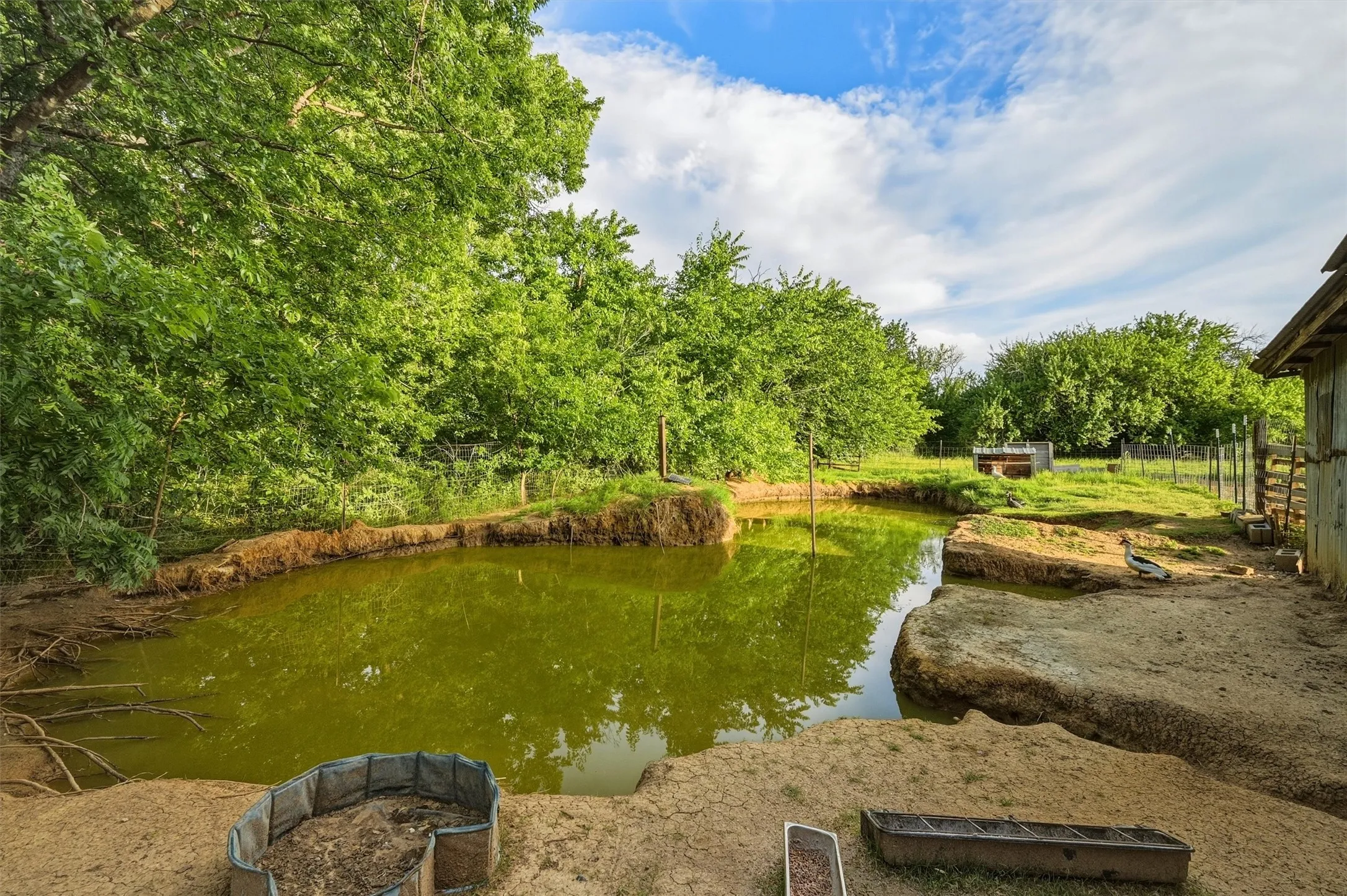 Farm For Sale in Grayson County , 356 Heironimus Lane, Denison, Texas 75020, 3 Bedroom, 3 Bathroom, 4 Garage spaces, 1,568 Sqft, built in 1935, mls#21267961, Real Estate Agent in Denison, Homes For Sale in Grayson county, Homes For Sale in Denison, Realtor in Denison Texas, Real Estate Brokerage Independent Realty Texas, Luminita Cordes Realtor
