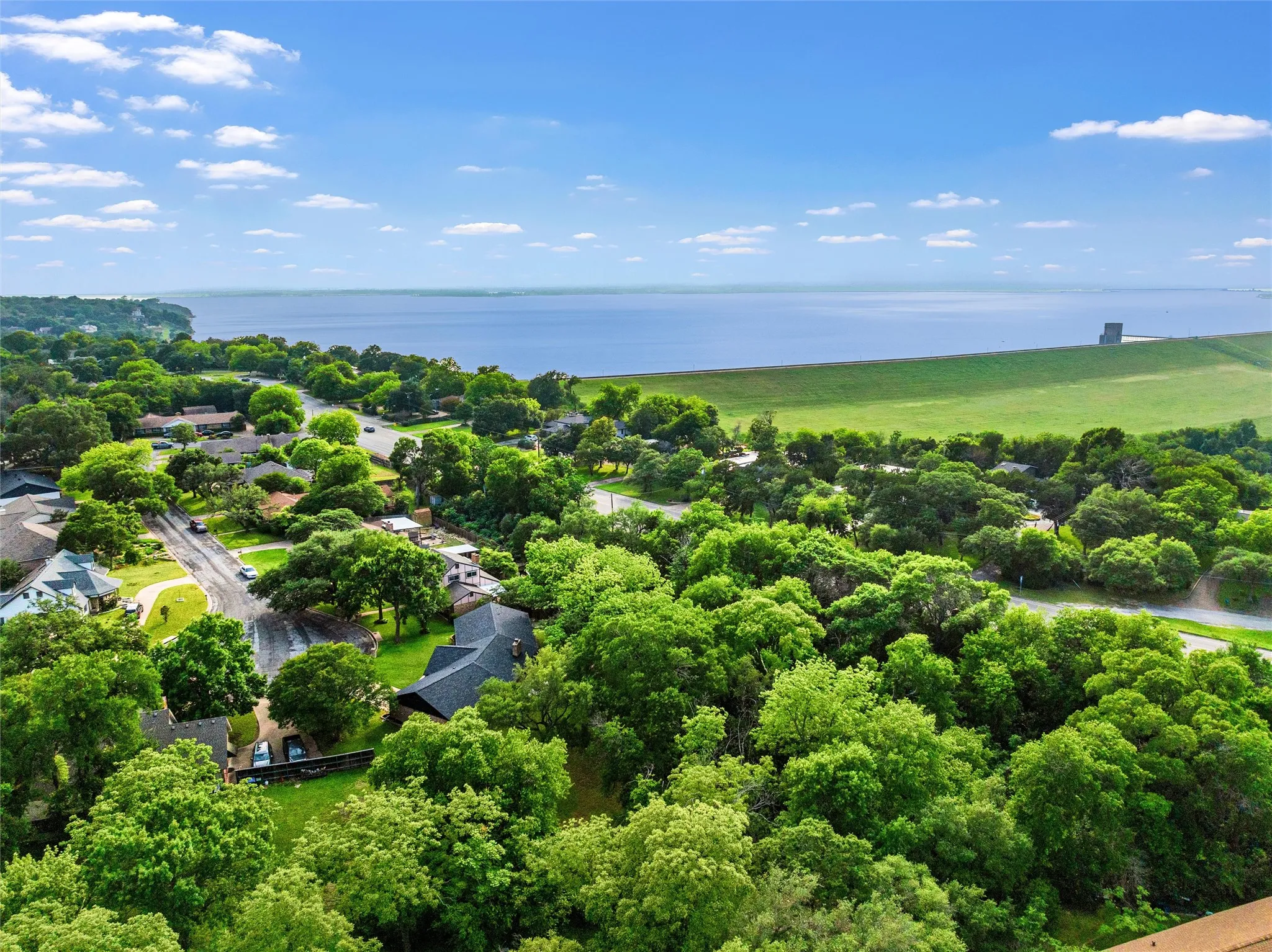 Expansive aerial capturing a neighborhood with mature trees, paved roads, and a large body of water in the background