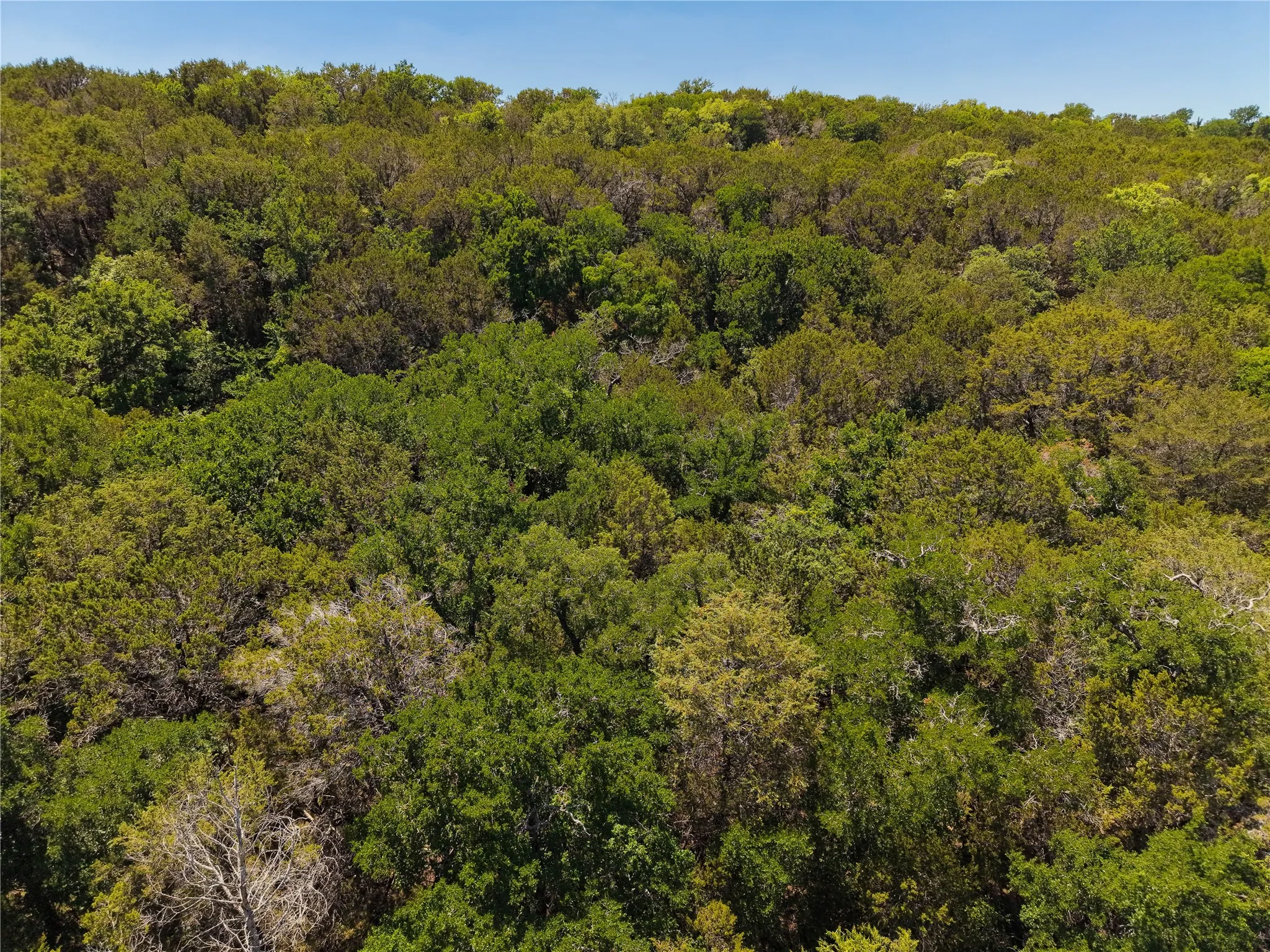 Unimproved Land For Sale in Hood County , 10131 Horizon View, Tolar, Texas 76476, 0, 0, Garage spaces, 0 Sqft, built in 0, mls#21267728, Real Estate Agent in Tolar, Homes For Sale in Hood county, Homes For Sale in Tolar, Realtor in Tolar Texas, Real Estate Brokerage Independent Realty Texas, Luminita Cordes Realtor