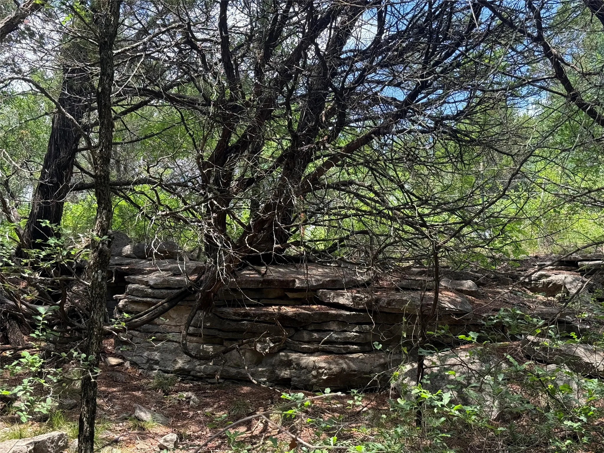 Unimproved Land For Sale in Hood County , 10131 Horizon View, Tolar, Texas 76476, 0, 0, Garage spaces, 0 Sqft, built in 0, mls#21267728, Real Estate Agent in Tolar, Homes For Sale in Hood county, Homes For Sale in Tolar, Realtor in Tolar Texas, Real Estate Brokerage Independent Realty Texas, Luminita Cordes Realtor