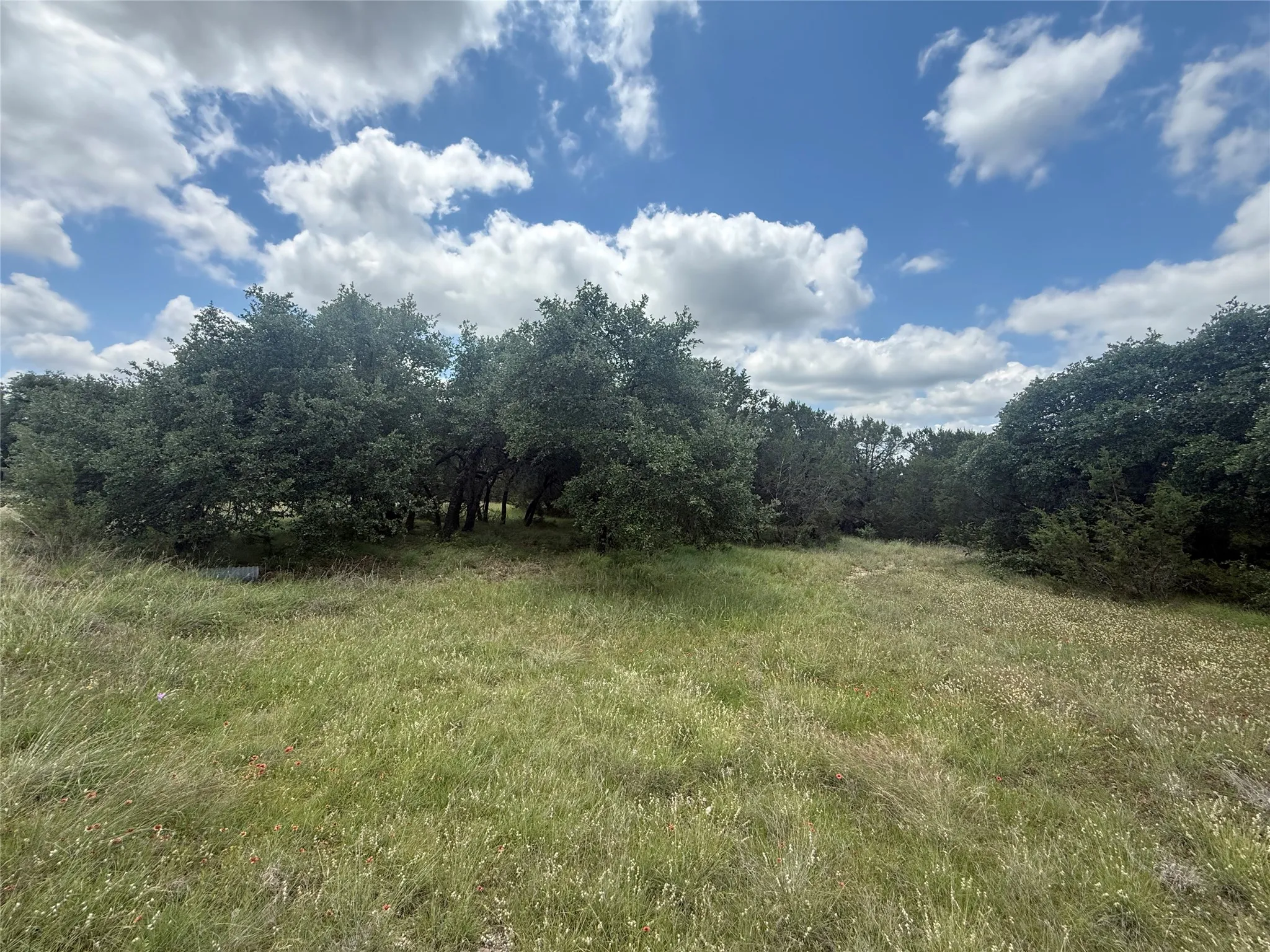 Unimproved Land For Sale in Hood County , 10131 Horizon View, Tolar, Texas 76476, 0, 0, Garage spaces, 0 Sqft, built in 0, mls#21267728, Real Estate Agent in Tolar, Homes For Sale in Hood county, Homes For Sale in Tolar, Realtor in Tolar Texas, Real Estate Brokerage Independent Realty Texas, Luminita Cordes Realtor