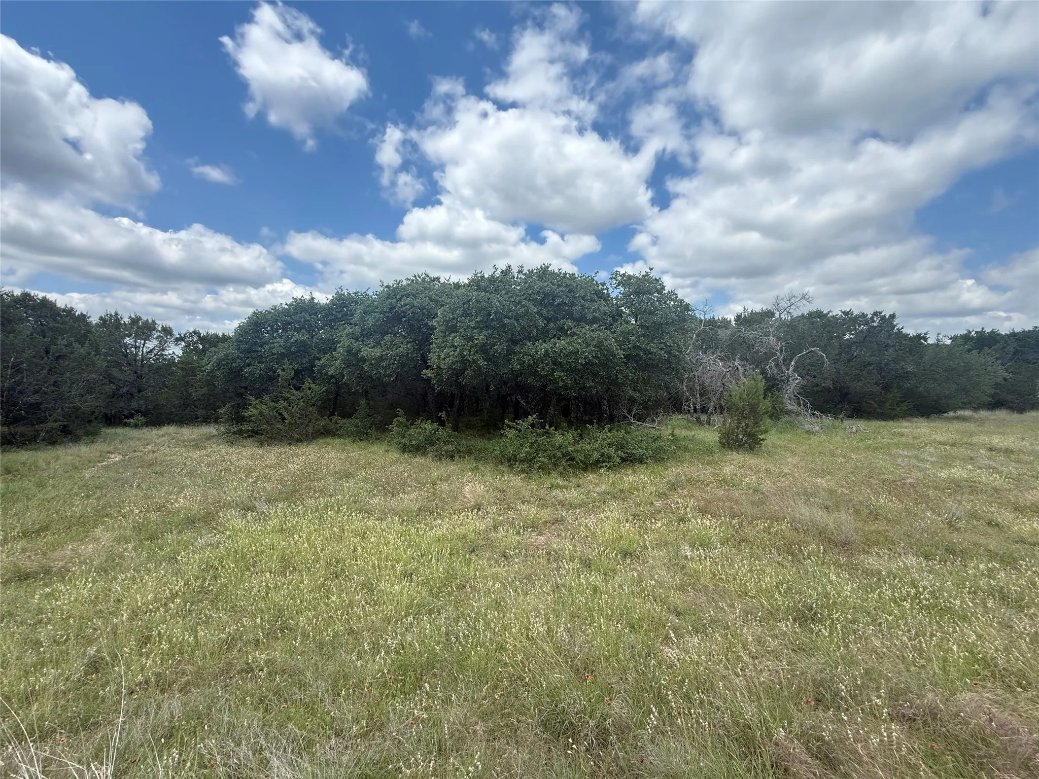 Unimproved Land For Sale in Hood County , 10131 Horizon View, Tolar, Texas 76476, 0, 0, Garage spaces, 0 Sqft, built in 0, mls#21267728, Real Estate Agent in Tolar, Homes For Sale in Hood county, Homes For Sale in Tolar, Realtor in Tolar Texas, Real Estate Brokerage Independent Realty Texas, Luminita Cordes Realtor