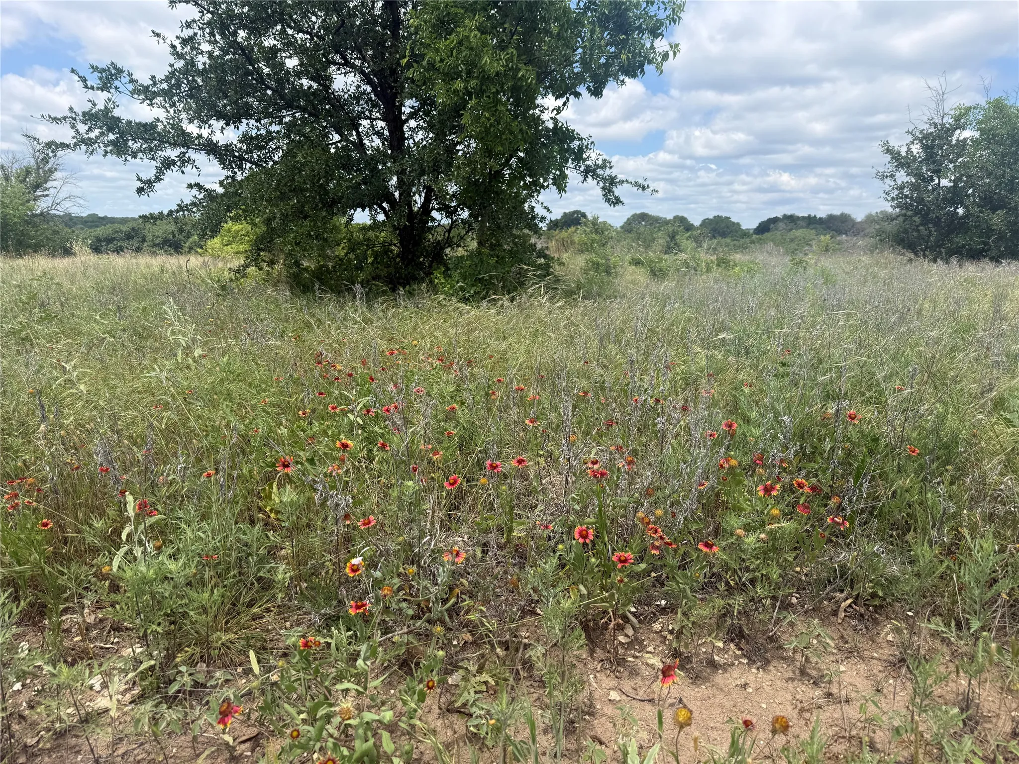 Unimproved Land For Sale in Hood County , 10131 Horizon View, Tolar, Texas 76476, 0, 0, Garage spaces, 0 Sqft, built in 0, mls#21267728, Real Estate Agent in Tolar, Homes For Sale in Hood county, Homes For Sale in Tolar, Realtor in Tolar Texas, Real Estate Brokerage Independent Realty Texas, Luminita Cordes Realtor