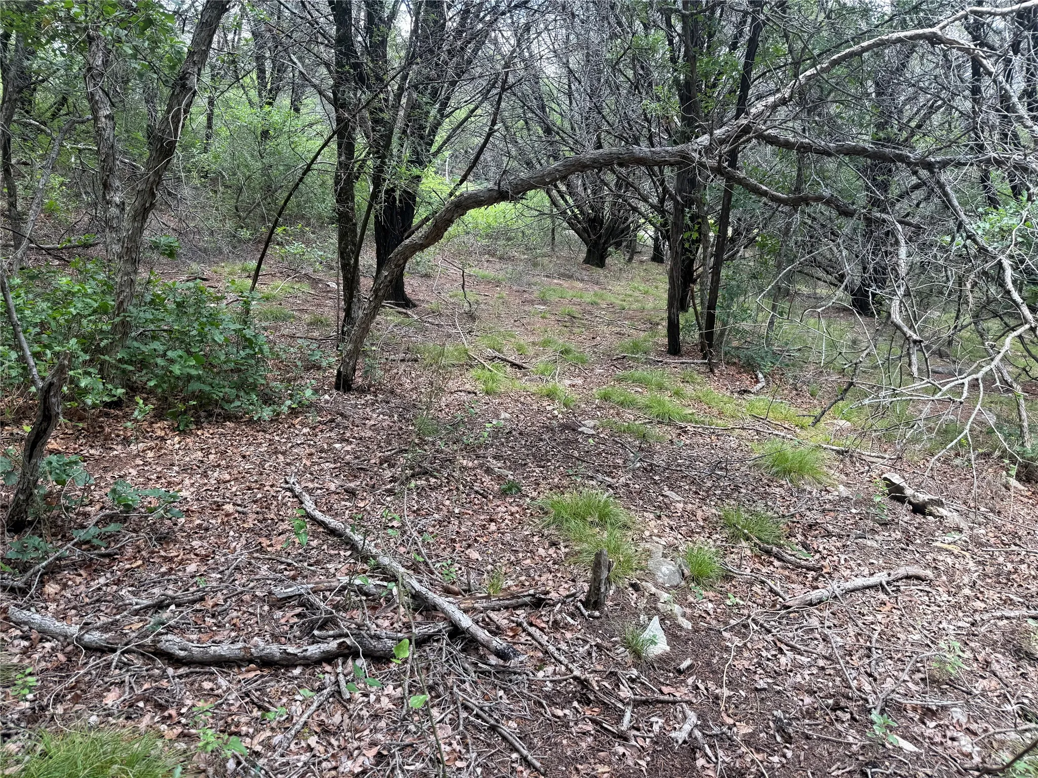 Unimproved Land For Sale in Hood County , 10131 Horizon View, Tolar, Texas 76476, 0, 0, Garage spaces, 0 Sqft, built in 0, mls#21267728, Real Estate Agent in Tolar, Homes For Sale in Hood county, Homes For Sale in Tolar, Realtor in Tolar Texas, Real Estate Brokerage Independent Realty Texas, Luminita Cordes Realtor