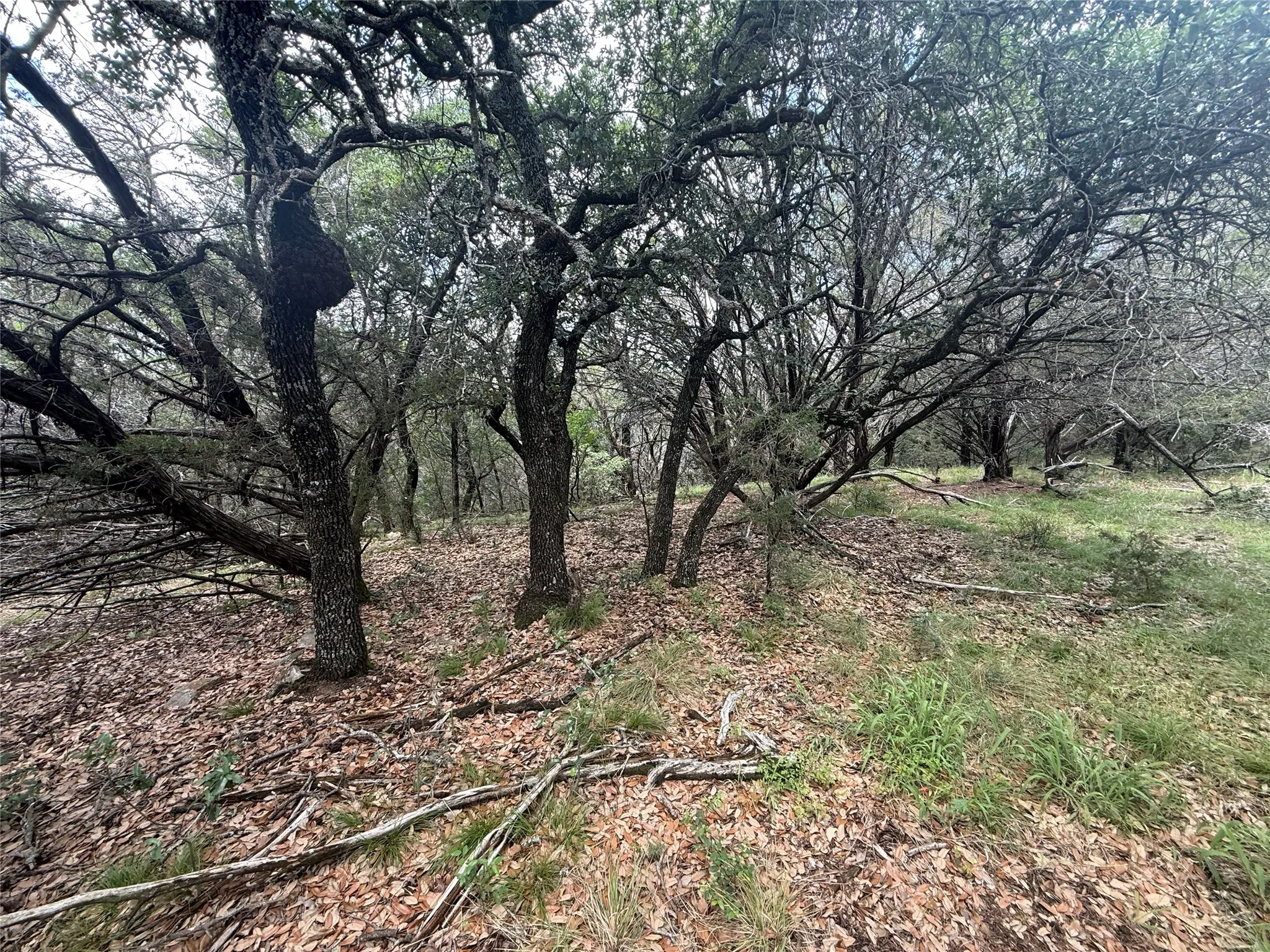 Unimproved Land For Sale in Hood County , 10131 Horizon View, Tolar, Texas 76476, 0, 0, Garage spaces, 0 Sqft, built in 0, mls#21267728, Real Estate Agent in Tolar, Homes For Sale in Hood county, Homes For Sale in Tolar, Realtor in Tolar Texas, Real Estate Brokerage Independent Realty Texas, Luminita Cordes Realtor