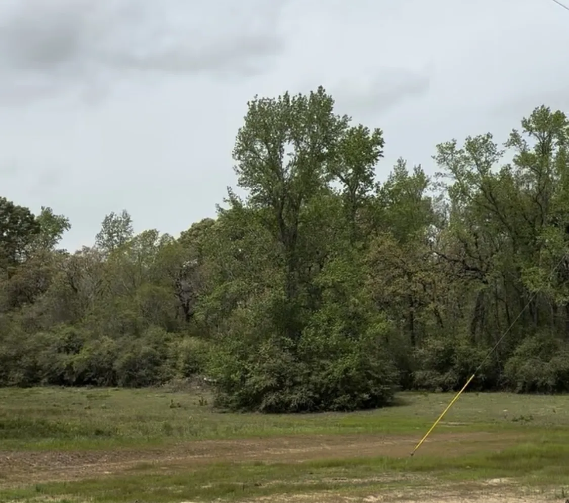 Ranch For Sale in Leon County , TBD 007 County Road 242, Oakwood, Texas 75855, 0, 0, Garage spaces, 0 Sqft, built in 0, Price $139,999, mls#21269495, Real Estate Agent in Oakwood, Homes For Sale in Leon county, Homes For Sale in Oakwood, Realtor in Oakwood Texas, Real Estate Brokerage Independent Realty Texas, Luminita Cordes Realtor