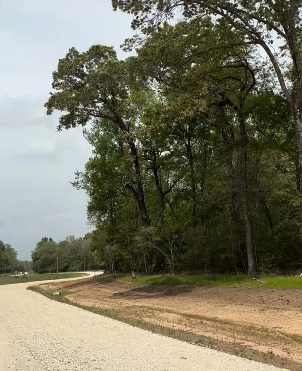Ranch For Sale in Leon County , TBD 007 County Road 242, Oakwood, Texas 75855, 0, 0, Garage spaces, 0 Sqft, built in 0, Price $139,999, mls#21269495, Real Estate Agent in Oakwood, Homes For Sale in Leon county, Homes For Sale in Oakwood, Realtor in Oakwood Texas, Real Estate Brokerage Independent Realty Texas, Luminita Cordes Realtor