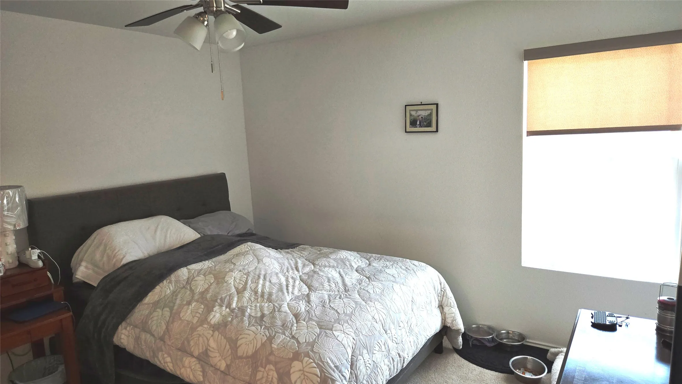 Bedroom featuring a ceiling fan with integrated lighting, a window with a roller shade, and light-toned wall finishes