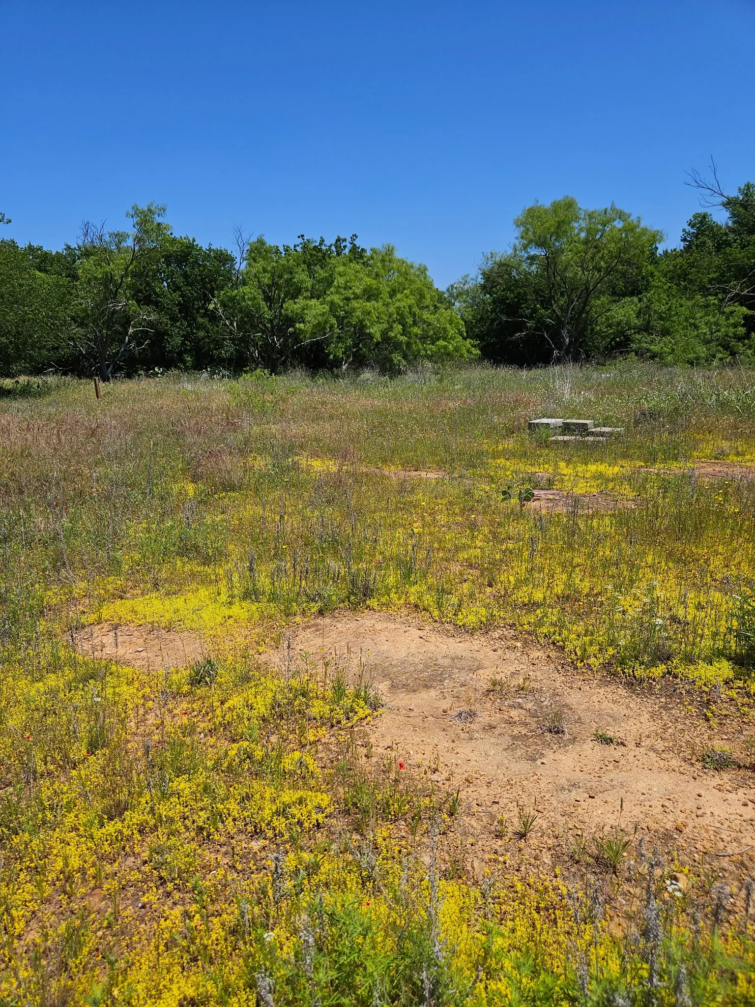 Unimproved Land For Sale in Eastland County , 404 HIGHWAY 6, Cisco, Texas 76437, 0, 0, Garage spaces, 0 Sqft, built in 0, Price $239,000, mls#21269196, Real Estate Agent in Cisco, Homes For Sale in Eastland county, Homes For Sale in Cisco, Realtor in Cisco Texas, Real Estate Brokerage Independent Realty Texas, Luminita Cordes Realtor