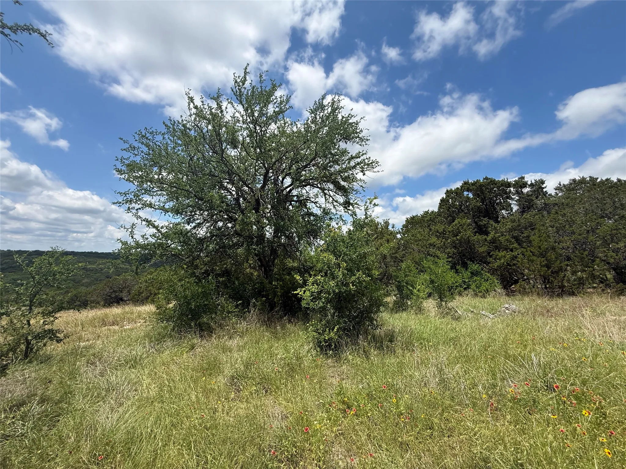 Unimproved Land For Sale in Hood County , 10151 Horizon View, Tolar, Texas 76476, 0, 0, Garage spaces, 0 Sqft, built in 0, mls#21267748, Real Estate Agent in Tolar, Homes For Sale in Hood county, Homes For Sale in Tolar, Realtor in Tolar Texas, Real Estate Brokerage Independent Realty Texas, Luminita Cordes Realtor