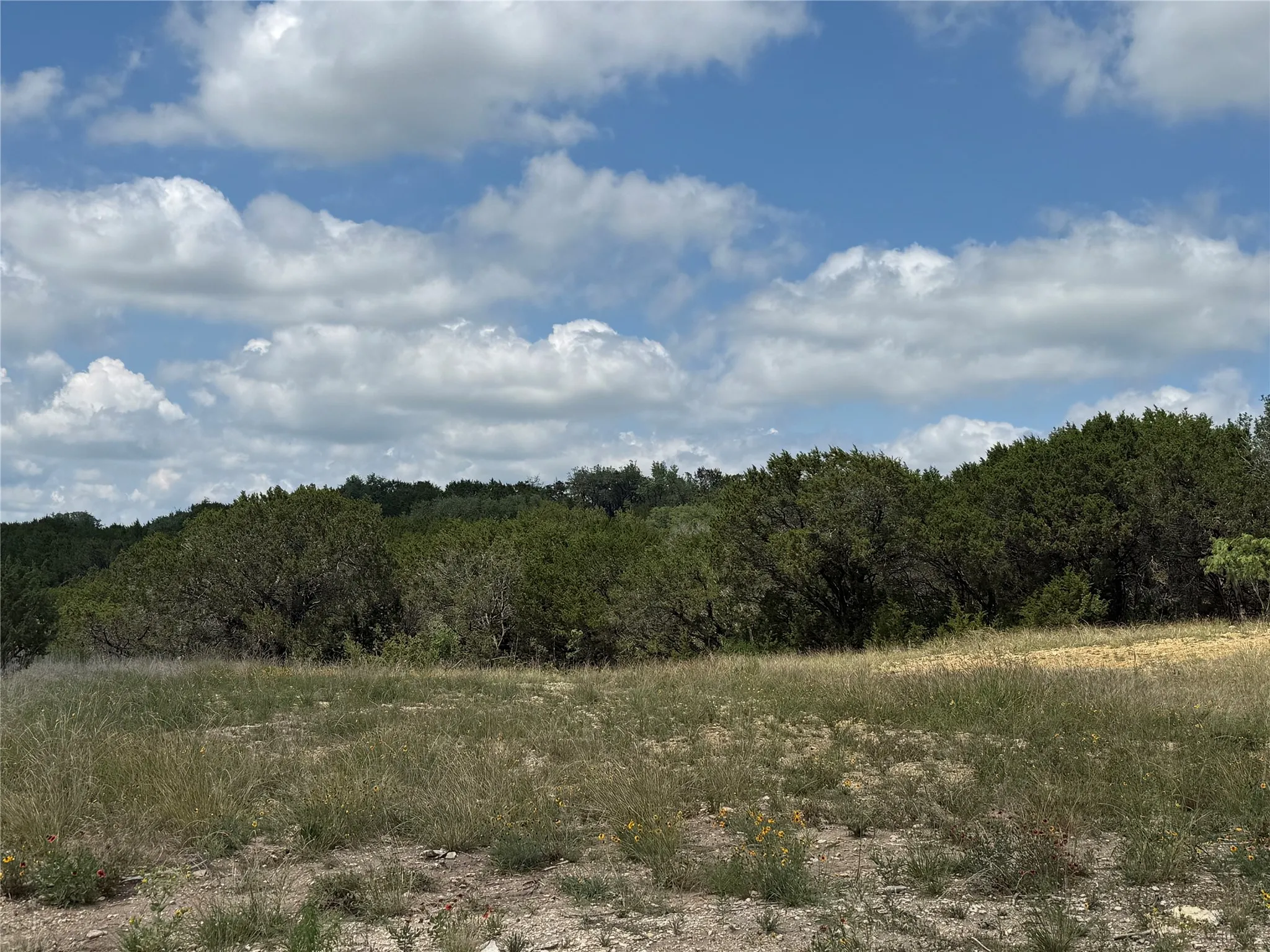 Unimproved Land For Sale in Hood County , 10151 Horizon View, Tolar, Texas 76476, 0, 0, Garage spaces, 0 Sqft, built in 0, mls#21267748, Real Estate Agent in Tolar, Homes For Sale in Hood county, Homes For Sale in Tolar, Realtor in Tolar Texas, Real Estate Brokerage Independent Realty Texas, Luminita Cordes Realtor