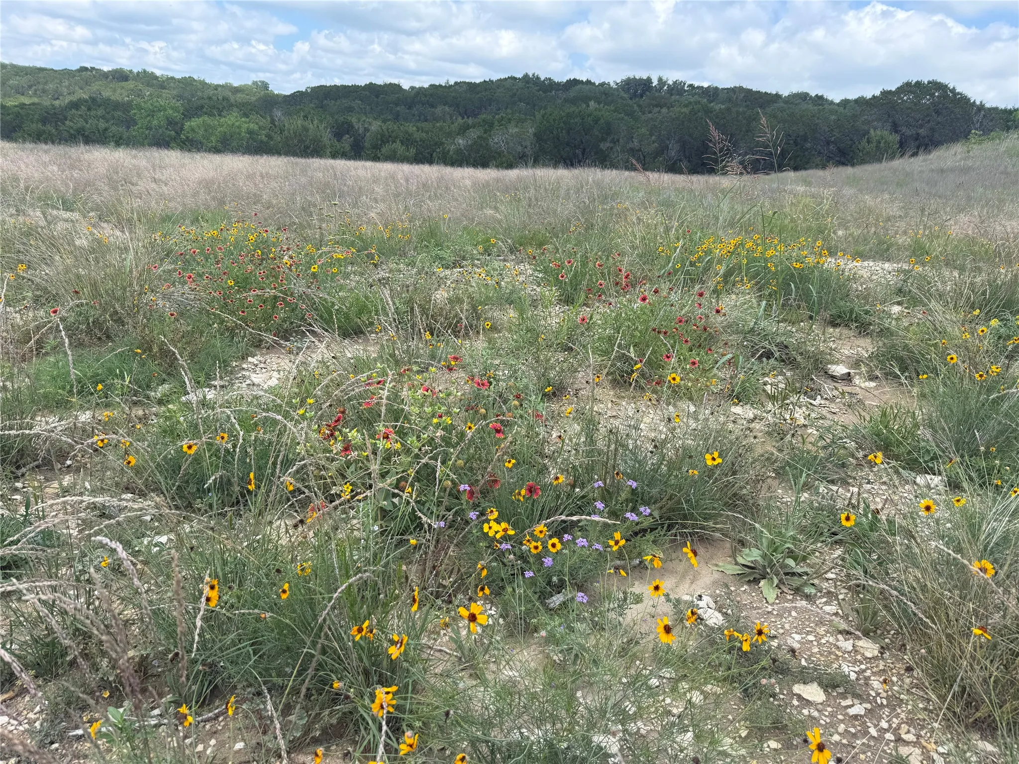 Unimproved Land For Sale in Hood County , 10151 Horizon View, Tolar, Texas 76476, 0, 0, Garage spaces, 0 Sqft, built in 0, mls#21267748, Real Estate Agent in Tolar, Homes For Sale in Hood county, Homes For Sale in Tolar, Realtor in Tolar Texas, Real Estate Brokerage Independent Realty Texas, Luminita Cordes Realtor