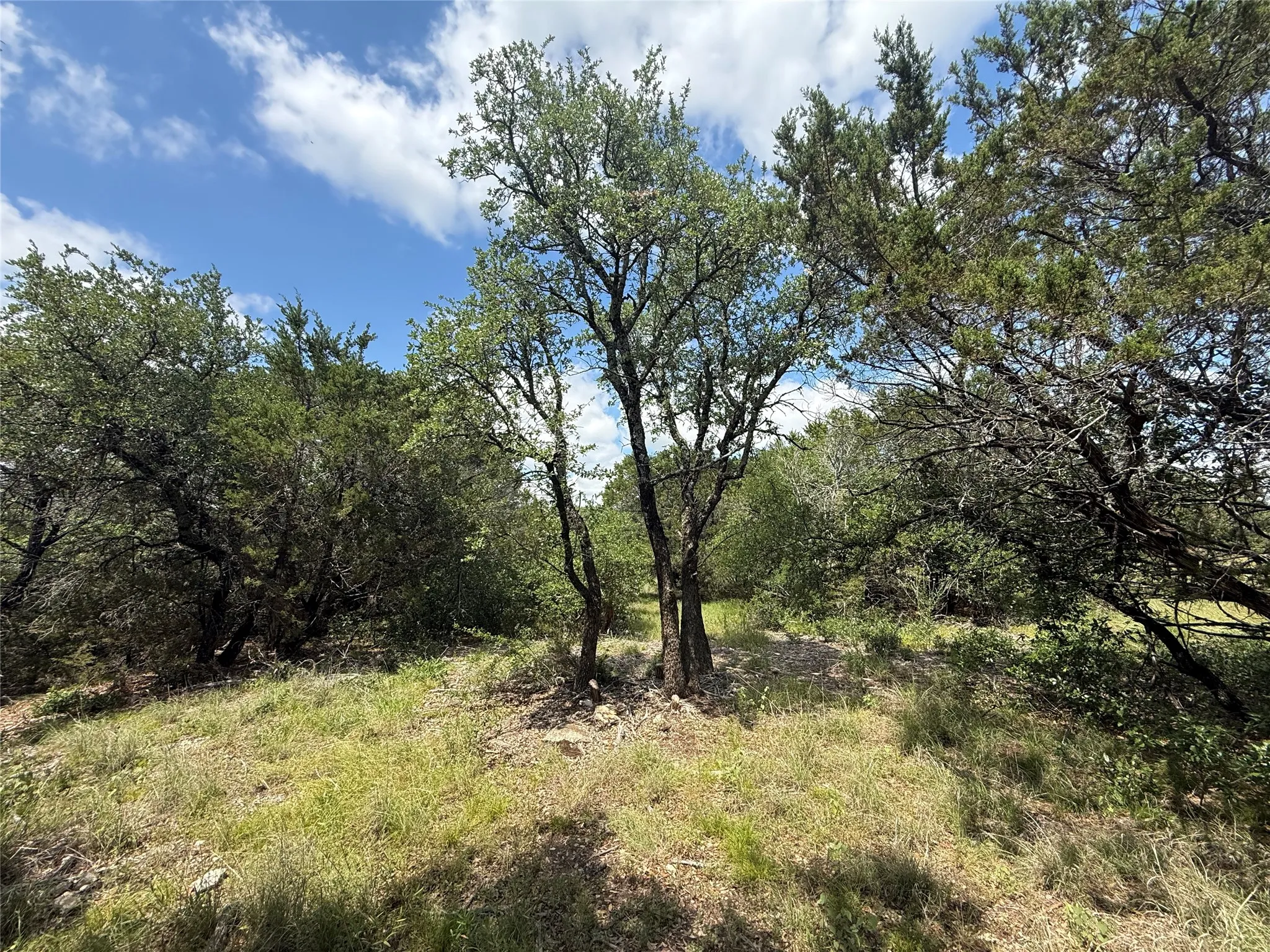 Unimproved Land For Sale in Hood County , 10151 Horizon View, Tolar, Texas 76476, 0, 0, Garage spaces, 0 Sqft, built in 0, mls#21267748, Real Estate Agent in Tolar, Homes For Sale in Hood county, Homes For Sale in Tolar, Realtor in Tolar Texas, Real Estate Brokerage Independent Realty Texas, Luminita Cordes Realtor