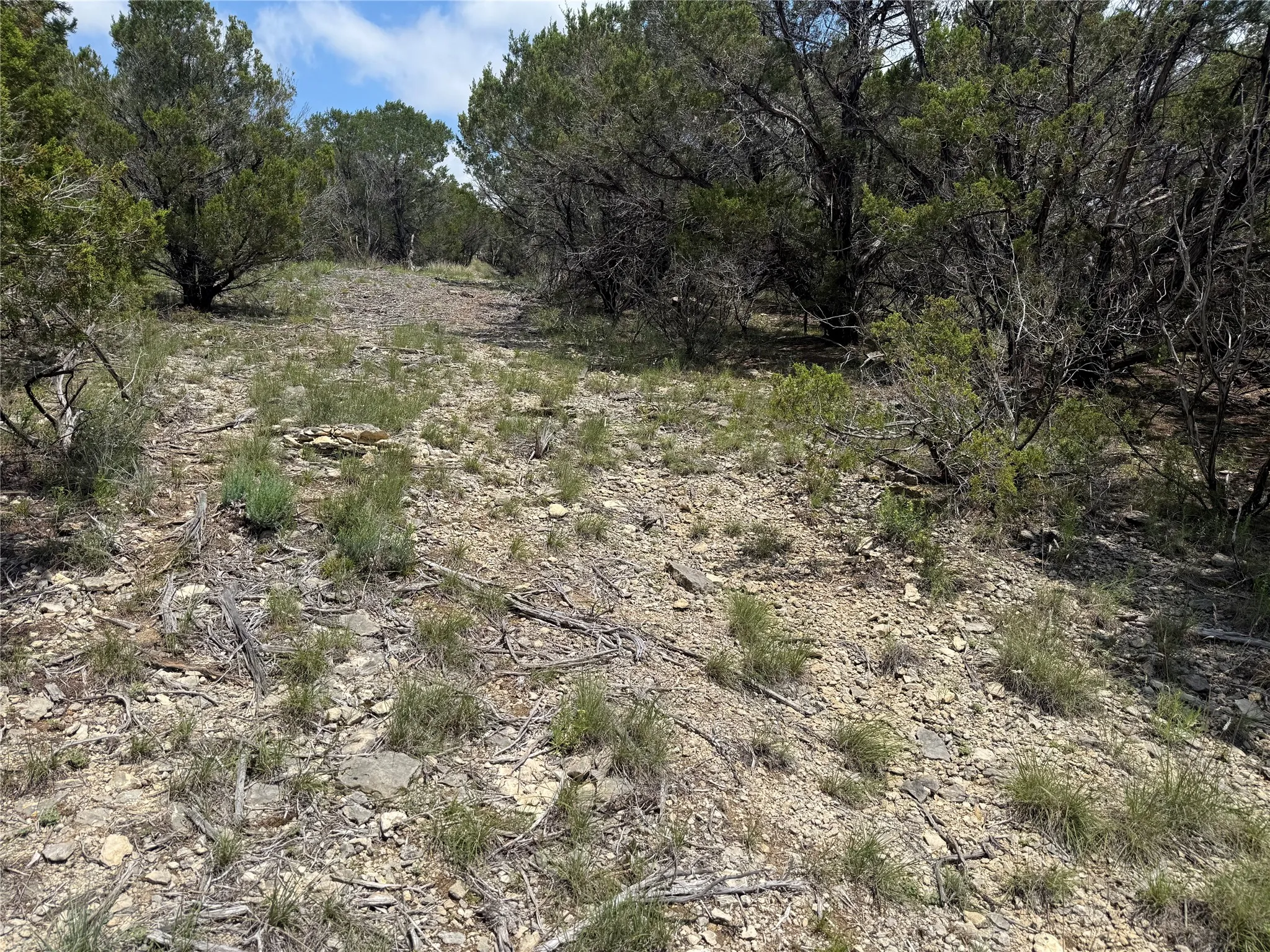 Unimproved Land For Sale in Hood County , 10151 Horizon View, Tolar, Texas 76476, 0, 0, Garage spaces, 0 Sqft, built in 0, mls#21267748, Real Estate Agent in Tolar, Homes For Sale in Hood county, Homes For Sale in Tolar, Realtor in Tolar Texas, Real Estate Brokerage Independent Realty Texas, Luminita Cordes Realtor