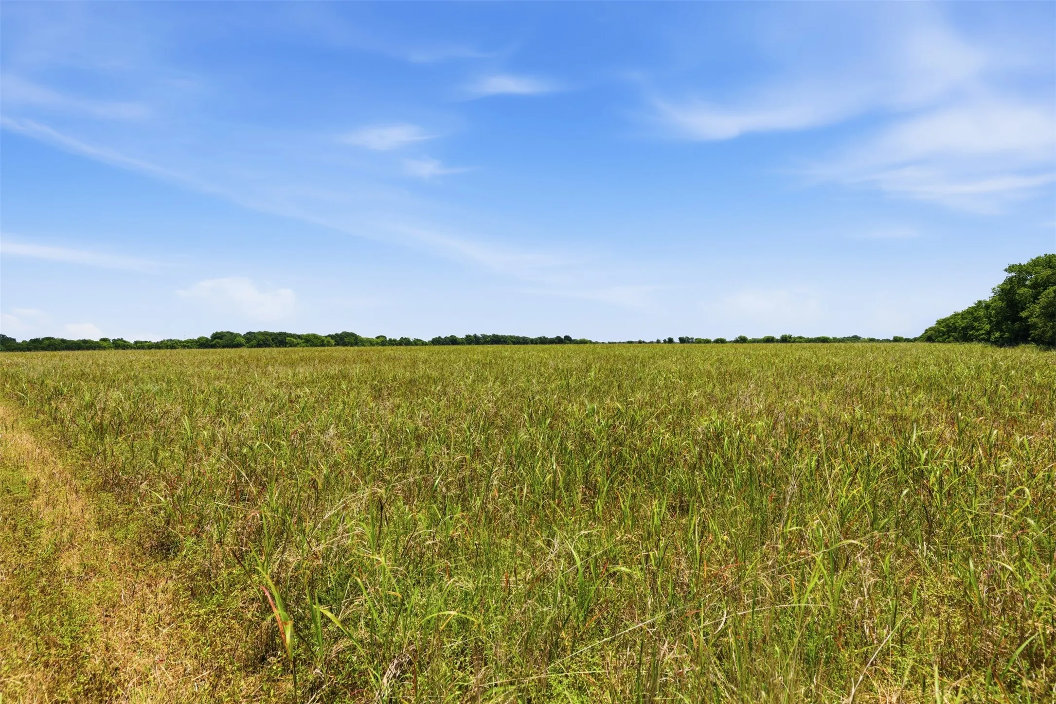 Unimproved Land For Sale in Johnson County , 421 Chambers Creek Trail, Alvarado, Texas 76009, 0, 0, Garage spaces, 0 Sqft, built in 0, mls#21269616, Real Estate Agent in Alvarado, Homes For Sale in Johnson county, Homes For Sale in Alvarado, Realtor in Alvarado Texas, Real Estate Brokerage Independent Realty Texas, Luminita Cordes Realtor