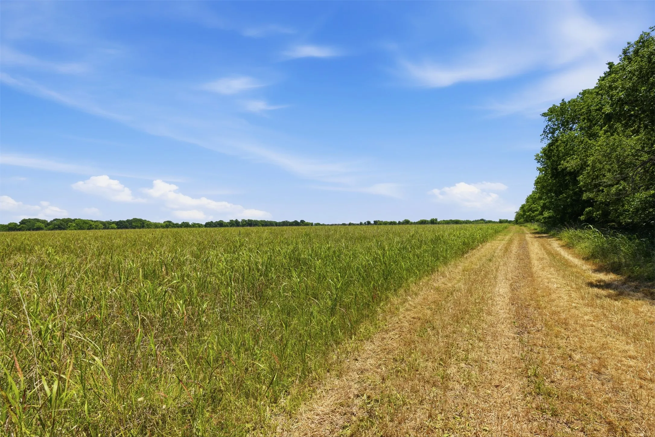 Unimproved Land For Sale in Johnson County , 421 Chambers Creek Trail, Alvarado, Texas 76009, 0, 0, Garage spaces, 0 Sqft, built in 0, mls#21269616, Real Estate Agent in Alvarado, Homes For Sale in Johnson county, Homes For Sale in Alvarado, Realtor in Alvarado Texas, Real Estate Brokerage Independent Realty Texas, Luminita Cordes Realtor