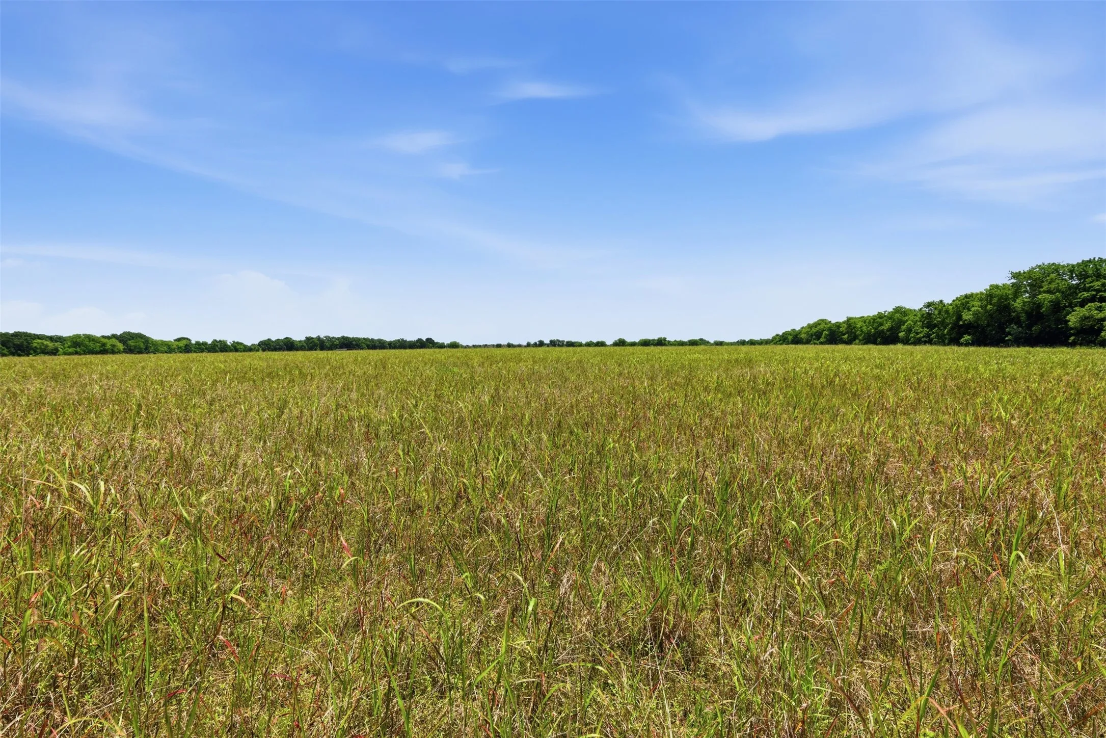 Unimproved Land For Sale in Johnson County , 421 Chambers Creek Trail, Alvarado, Texas 76009, 0, 0, Garage spaces, 0 Sqft, built in 0, mls#21269616, Real Estate Agent in Alvarado, Homes For Sale in Johnson county, Homes For Sale in Alvarado, Realtor in Alvarado Texas, Real Estate Brokerage Independent Realty Texas, Luminita Cordes Realtor
