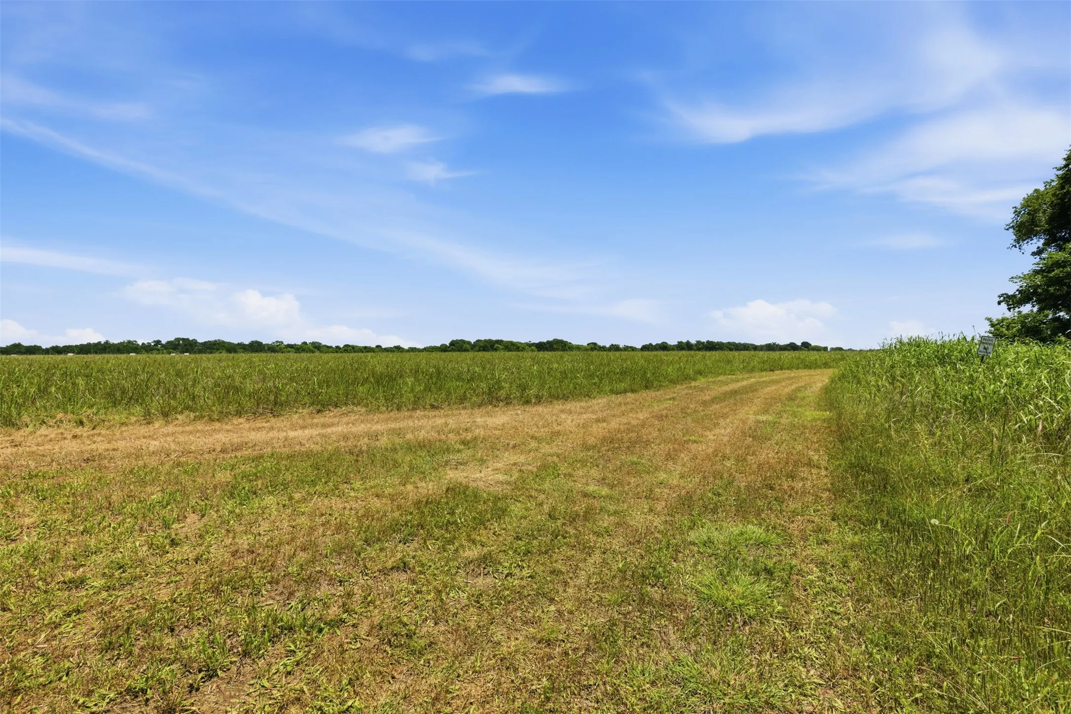 Unimproved Land For Sale in Johnson County , 421 Chambers Creek Trail, Alvarado, Texas 76009, 0, 0, Garage spaces, 0 Sqft, built in 0, mls#21269616, Real Estate Agent in Alvarado, Homes For Sale in Johnson county, Homes For Sale in Alvarado, Realtor in Alvarado Texas, Real Estate Brokerage Independent Realty Texas, Luminita Cordes Realtor
