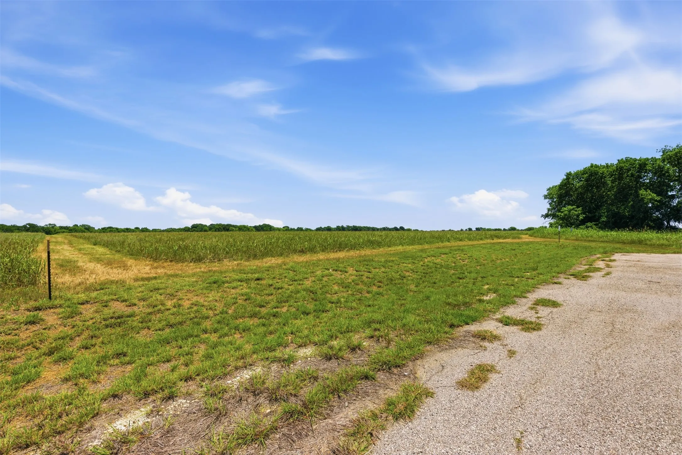 Unimproved Land For Sale in Johnson County , 421 Chambers Creek Trail, Alvarado, Texas 76009, 0, 0, Garage spaces, 0 Sqft, built in 0, mls#21269616, Real Estate Agent in Alvarado, Homes For Sale in Johnson county, Homes For Sale in Alvarado, Realtor in Alvarado Texas, Real Estate Brokerage Independent Realty Texas, Luminita Cordes Realtor