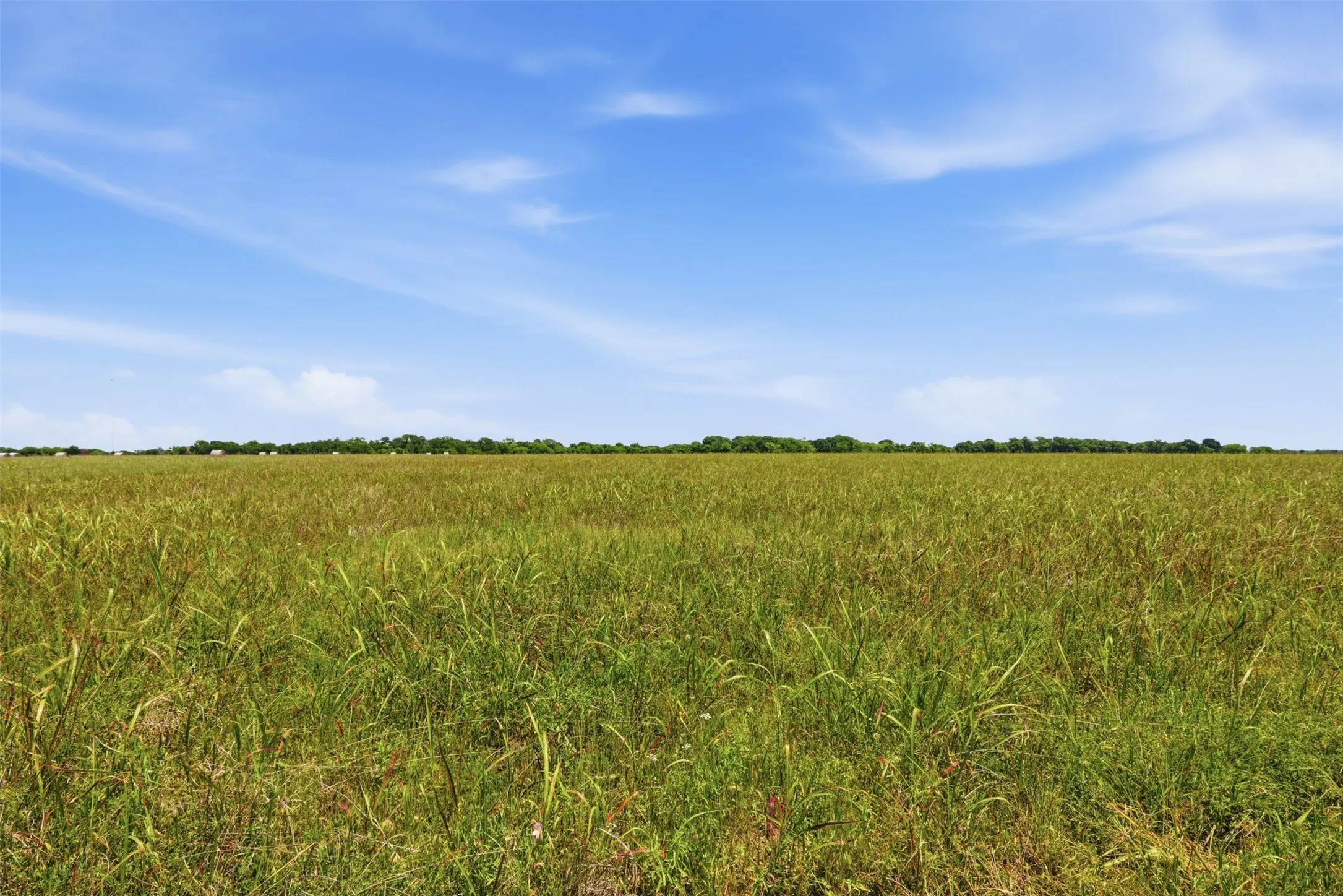 Unimproved Land For Sale in Johnson County , 421 Chambers Creek Trail, Alvarado, Texas 76009, 0, 0, Garage spaces, 0 Sqft, built in 0, mls#21269616, Real Estate Agent in Alvarado, Homes For Sale in Johnson county, Homes For Sale in Alvarado, Realtor in Alvarado Texas, Real Estate Brokerage Independent Realty Texas, Luminita Cordes Realtor