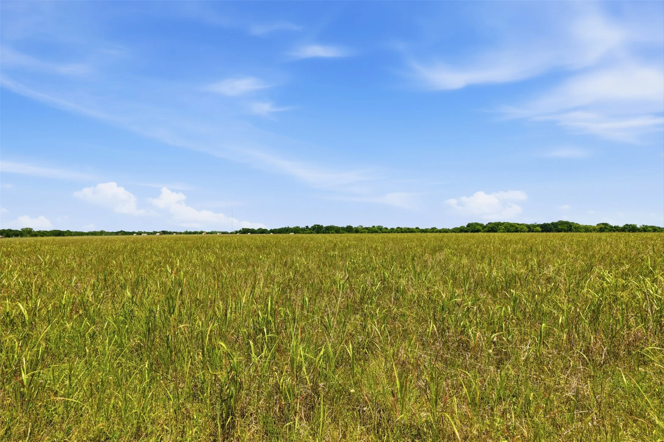 Unimproved Land For Sale in Johnson County , 421 Chambers Creek Trail, Alvarado, Texas 76009, 0, 0, Garage spaces, 0 Sqft, built in 0, mls#21269616, Real Estate Agent in Alvarado, Homes For Sale in Johnson county, Homes For Sale in Alvarado, Realtor in Alvarado Texas, Real Estate Brokerage Independent Realty Texas, Luminita Cordes Realtor