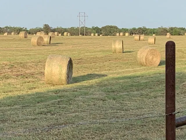 Mobile Home For Sale in Comanche County , 1521 FM 590, Comanche, Texas 76442, 3 Bedroom, 2 Bathroom, Garage spaces, 1,911 Sqft, built in 1995, mls#21269480, Real Estate Agent in Comanche, Homes For Sale in Comanche county, Homes For Sale in Comanche, Realtor in Comanche Texas, Real Estate Brokerage Independent Realty Texas, Luminita Cordes Realtor