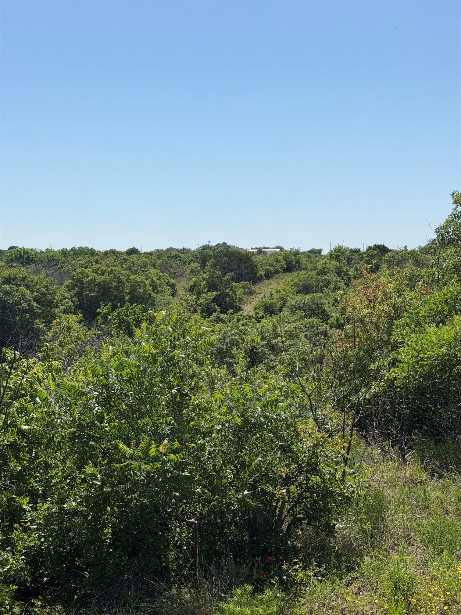 Natural beauty surrounds every inch of this property, where mature trees and scenic landscapes offer both privacy and endless possibilities.
