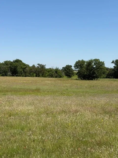 The property’s gently sloping terrain and mature trees create an inviting setting ideal for a custom home, ranch, or recreational retreat.