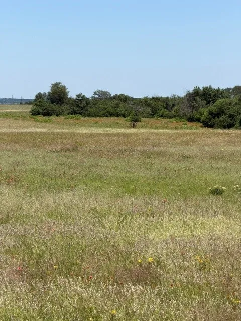 Wide-open spaces and scenic countryside views make this property the perfect escape for those seeking privacy, tranquility, and room to roam.