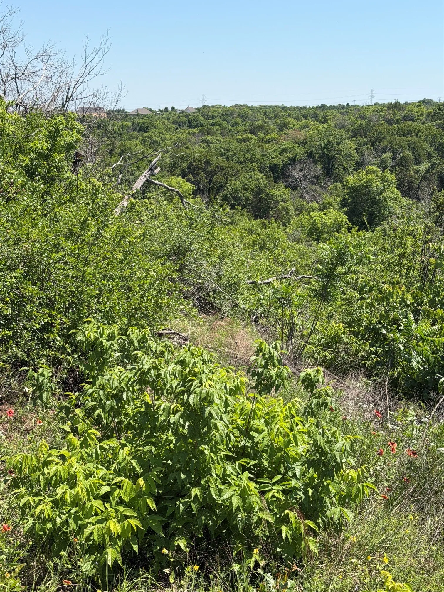 Peaceful countryside charm radiates throughout the property, with expansive acreage, scenic terrain, and room to create your dream vision.