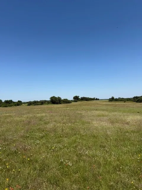 Beautiful natural landscapes stretch across the property, offering a stunning blend of open pasture, shaded tree lines.
