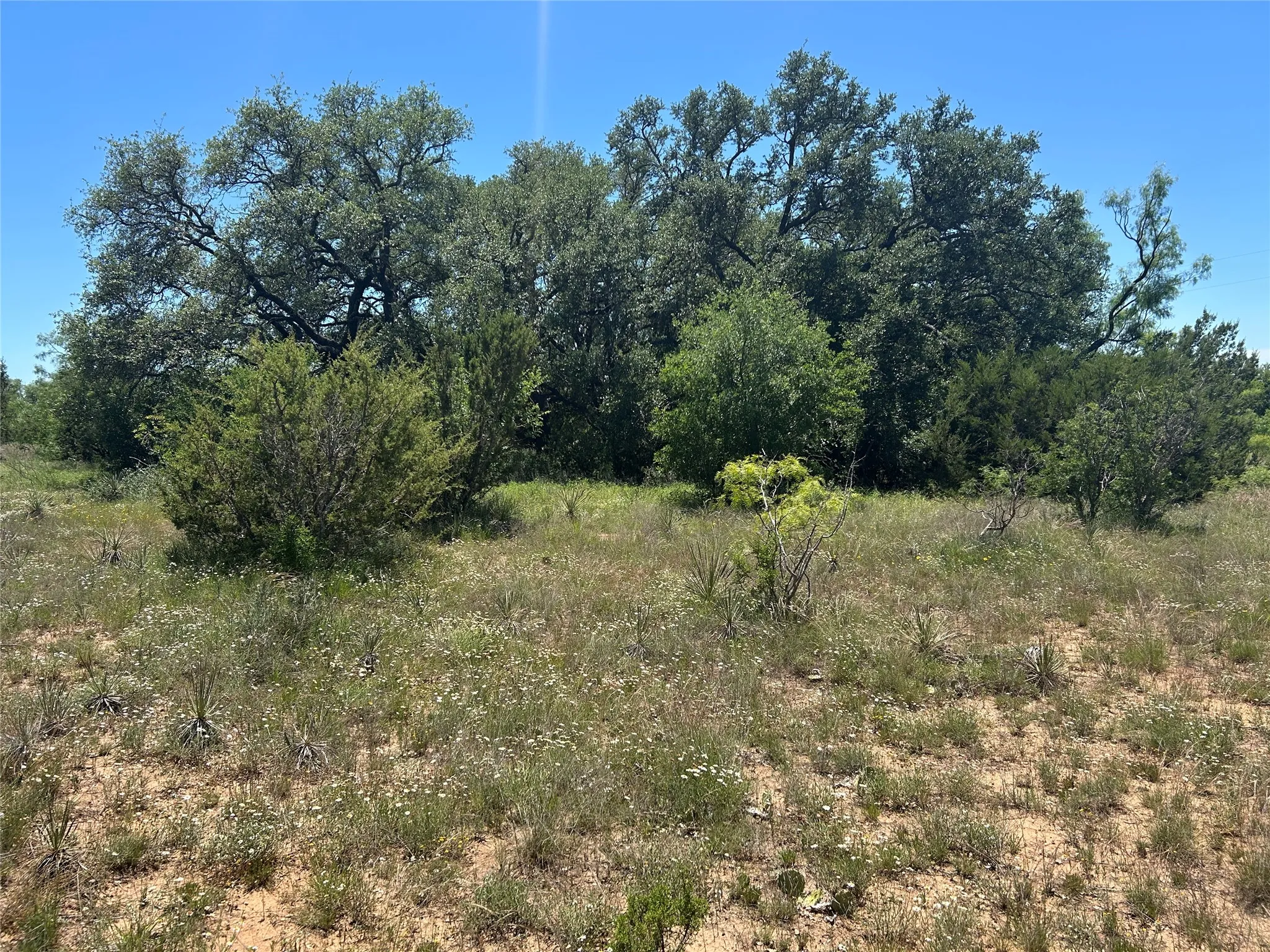 Ranch For Sale in Coleman County , 824 County Road 409, Talpa, Texas 76882, 0, 0, Garage spaces, 0 Sqft, built in 1998, mls#21266972, Real Estate Agent in Talpa, Homes For Sale in Coleman county, Homes For Sale in Talpa, Realtor in Talpa Texas, Real Estate Brokerage Independent Realty Texas, Luminita Cordes Realtor