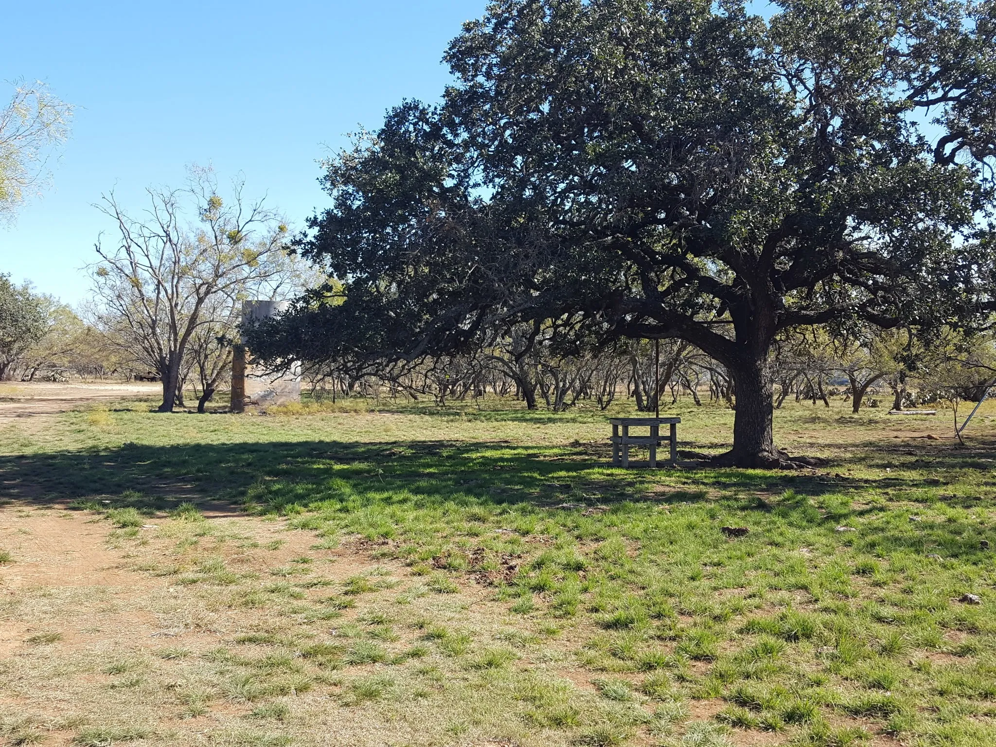 Ranch For Sale in Coleman County , 824 County Road 409, Talpa, Texas 76882, 0, 0, Garage spaces, 0 Sqft, built in 1998, mls#21266972, Real Estate Agent in Talpa, Homes For Sale in Coleman county, Homes For Sale in Talpa, Realtor in Talpa Texas, Real Estate Brokerage Independent Realty Texas, Luminita Cordes Realtor