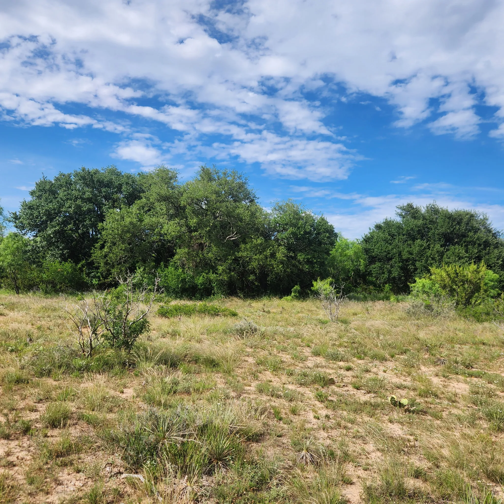 Ranch For Sale in Coleman County , 824 County Road 409, Talpa, Texas 76882, 0, 0, Garage spaces, 0 Sqft, built in 1998, mls#21266972, Real Estate Agent in Talpa, Homes For Sale in Coleman county, Homes For Sale in Talpa, Realtor in Talpa Texas, Real Estate Brokerage Independent Realty Texas, Luminita Cordes Realtor