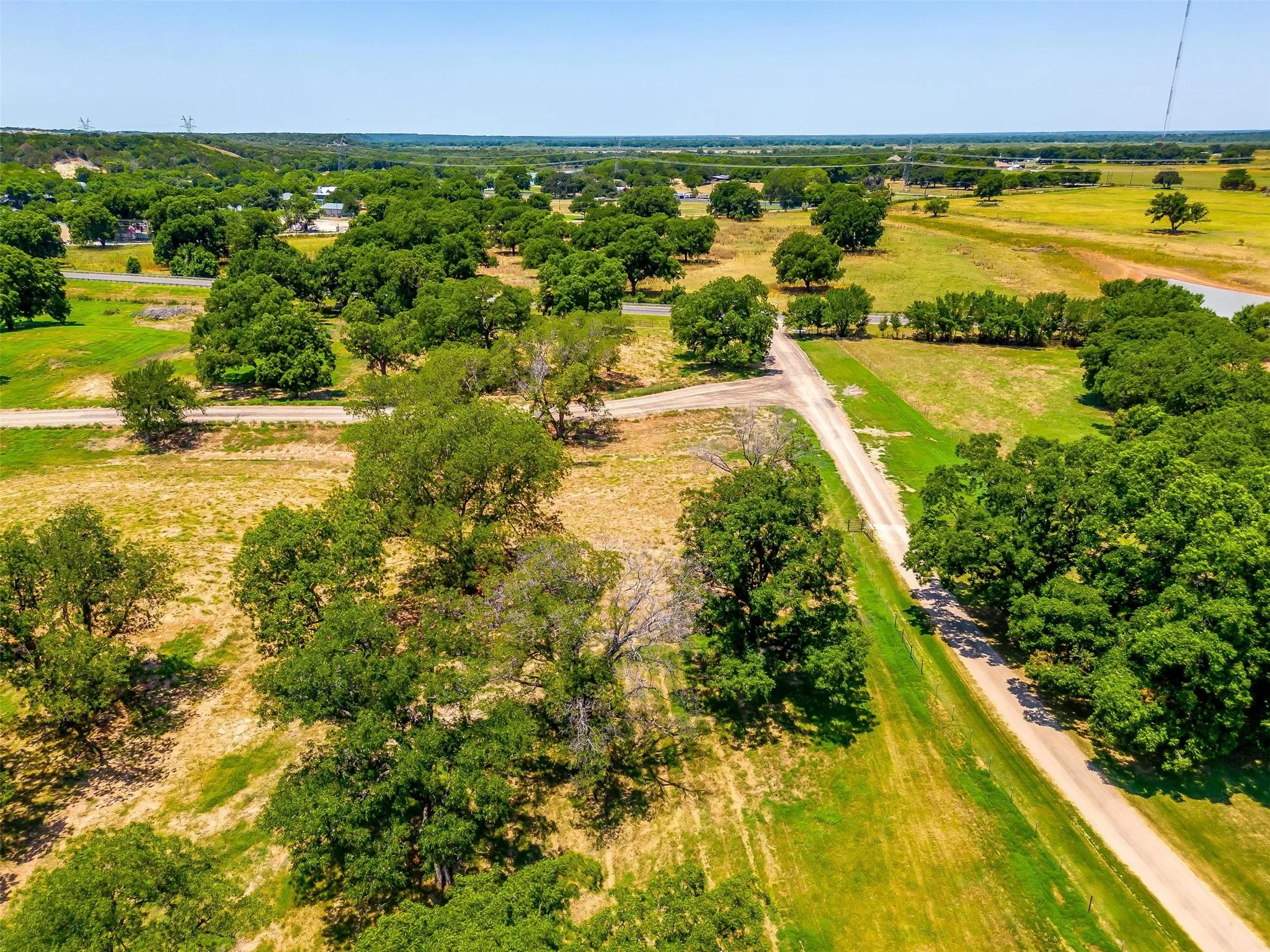 Expansive open land featuring numerous mature trees and a clear gravel road