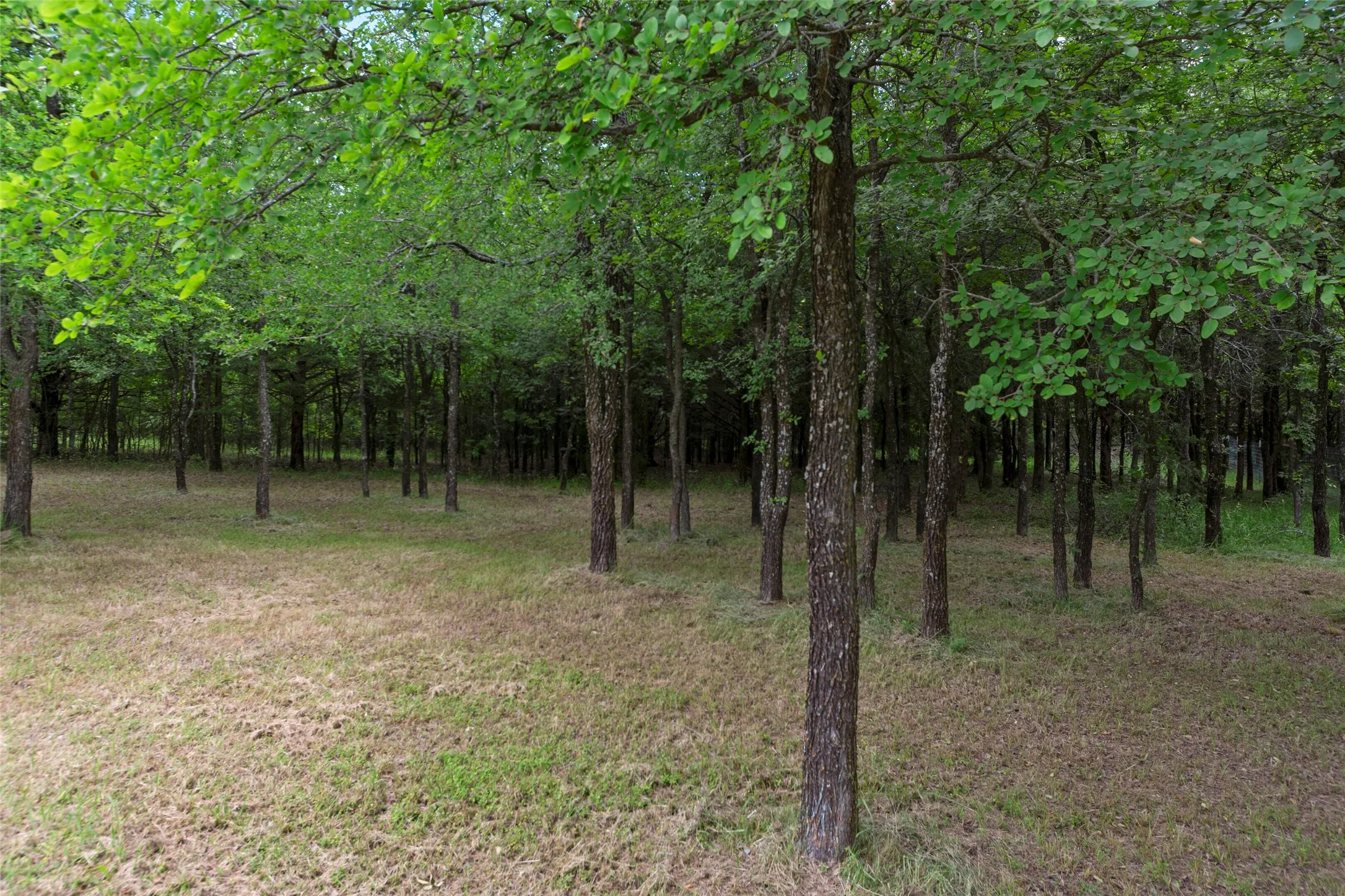Unimproved Land For Sale in Grayson County , 64005 N State Hwy 289, Pottsboro, Texas 75076, 0, 0, Garage spaces, 0 Sqft, built in 0, mls#21263305, Real Estate Agent in Pottsboro, Homes For Sale in Grayson county, Homes For Sale in Pottsboro, Realtor in Pottsboro Texas, Real Estate Brokerage Independent Realty Texas, Luminita Cordes Realtor