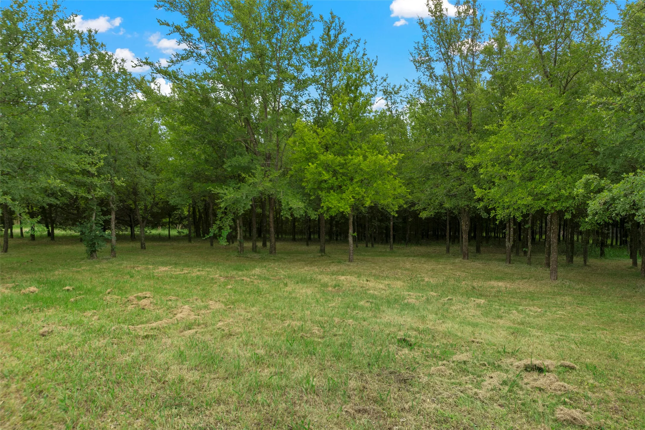 Unimproved Land For Sale in Grayson County , 64005 N State Hwy 289, Pottsboro, Texas 75076, 0, 0, Garage spaces, 0 Sqft, built in 0, mls#21263305, Real Estate Agent in Pottsboro, Homes For Sale in Grayson county, Homes For Sale in Pottsboro, Realtor in Pottsboro Texas, Real Estate Brokerage Independent Realty Texas, Luminita Cordes Realtor