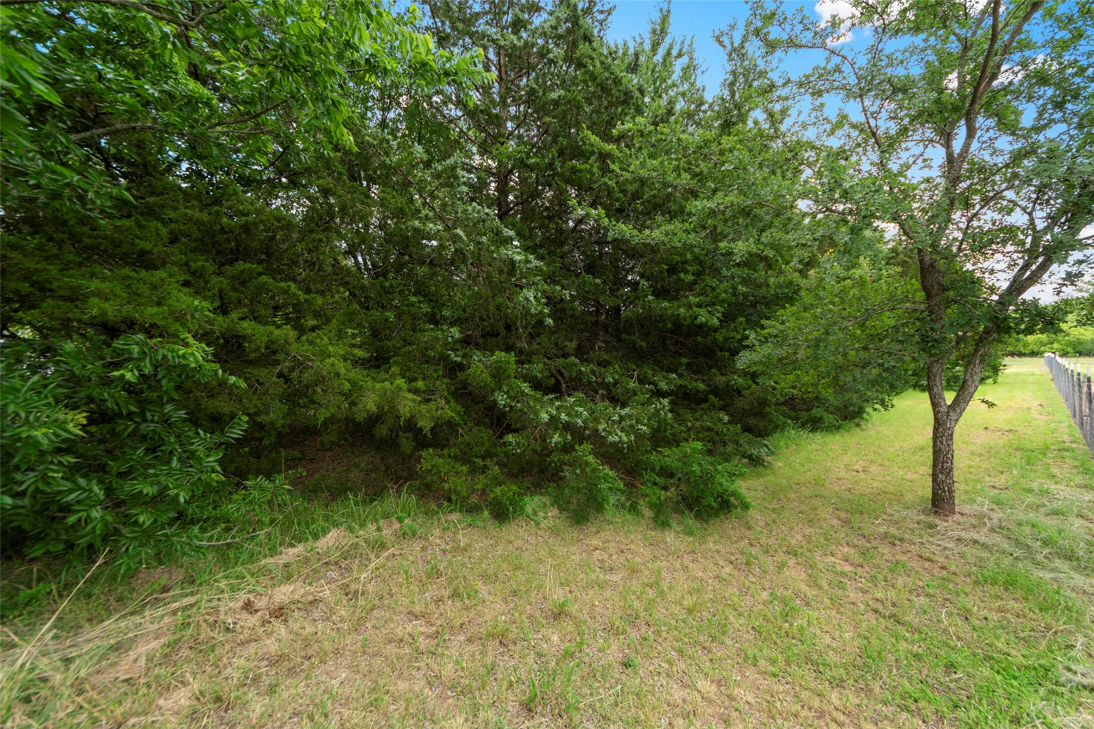 Unimproved Land For Sale in Grayson County , 64005 N State Hwy 289, Pottsboro, Texas 75076, 0, 0, Garage spaces, 0 Sqft, built in 0, mls#21263305, Real Estate Agent in Pottsboro, Homes For Sale in Grayson county, Homes For Sale in Pottsboro, Realtor in Pottsboro Texas, Real Estate Brokerage Independent Realty Texas, Luminita Cordes Realtor