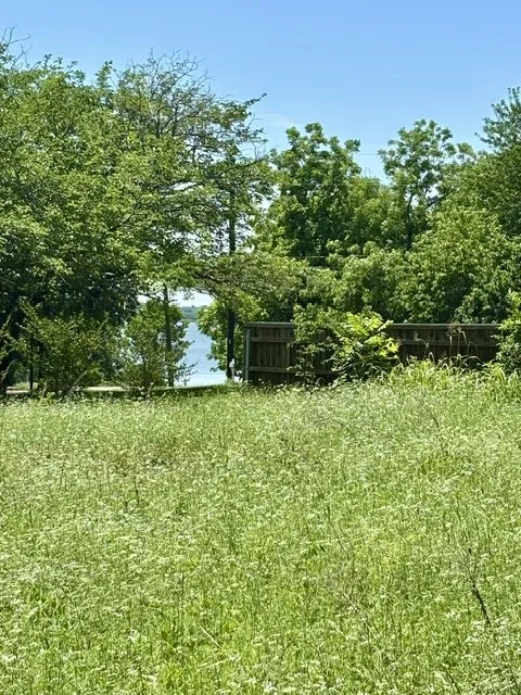 Back of Lot with View