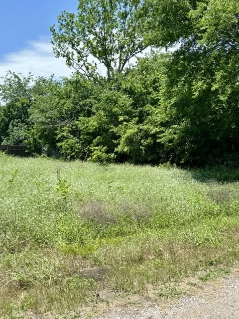 Right side with tree line