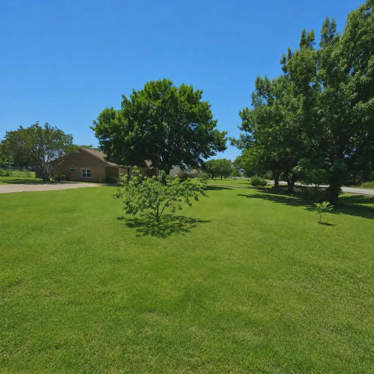 Expansive green lawn with mature trees and a single-story brick exterior home